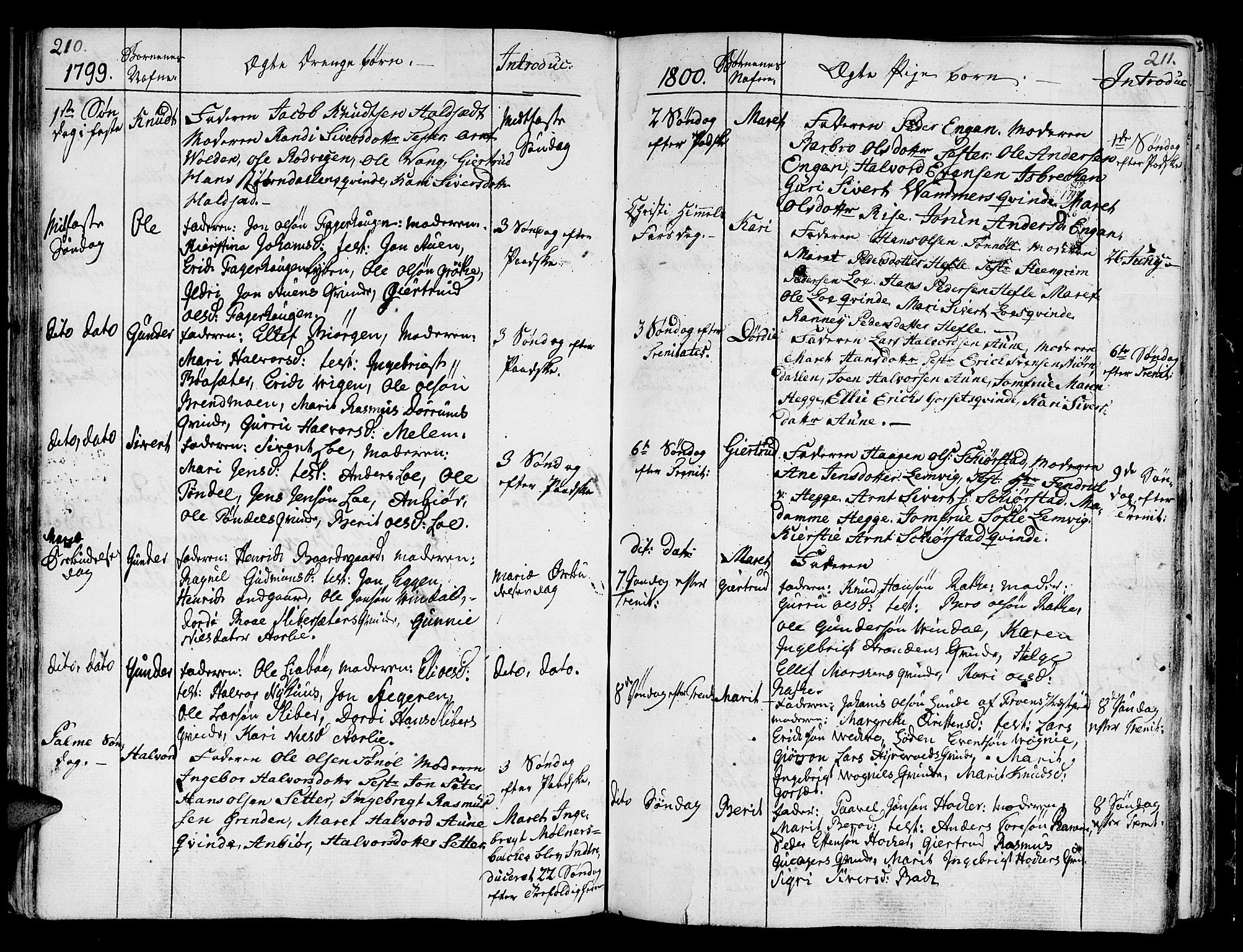 Ministerialprotokoller, klokkerbøker og fødselsregistre - Sør-Trøndelag, SAT/A-1456/678/L0893: Parish register (official) no. 678A03, 1792-1805, p. 210-211