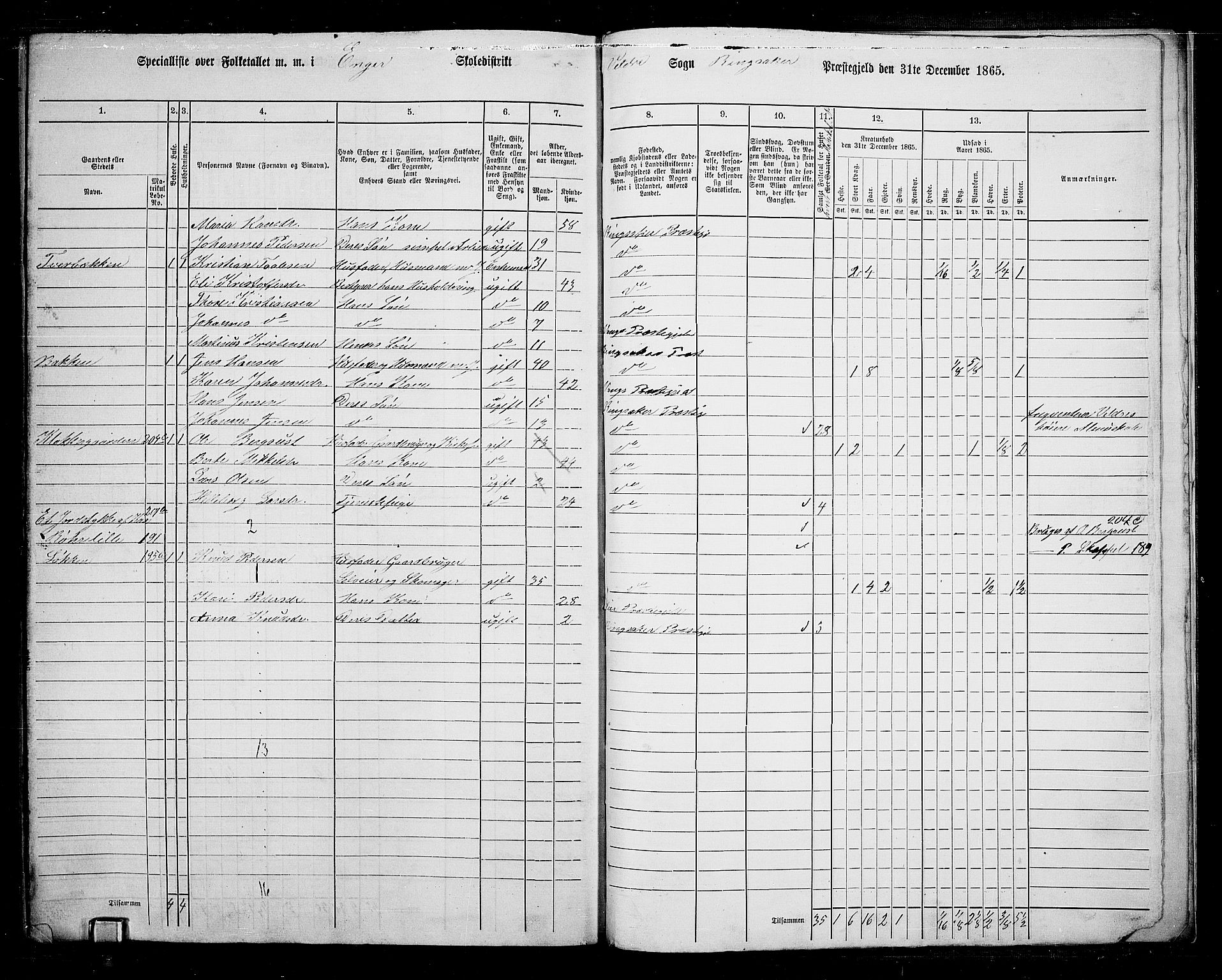 RA, 1865 census for Ringsaker, 1865, p. 254