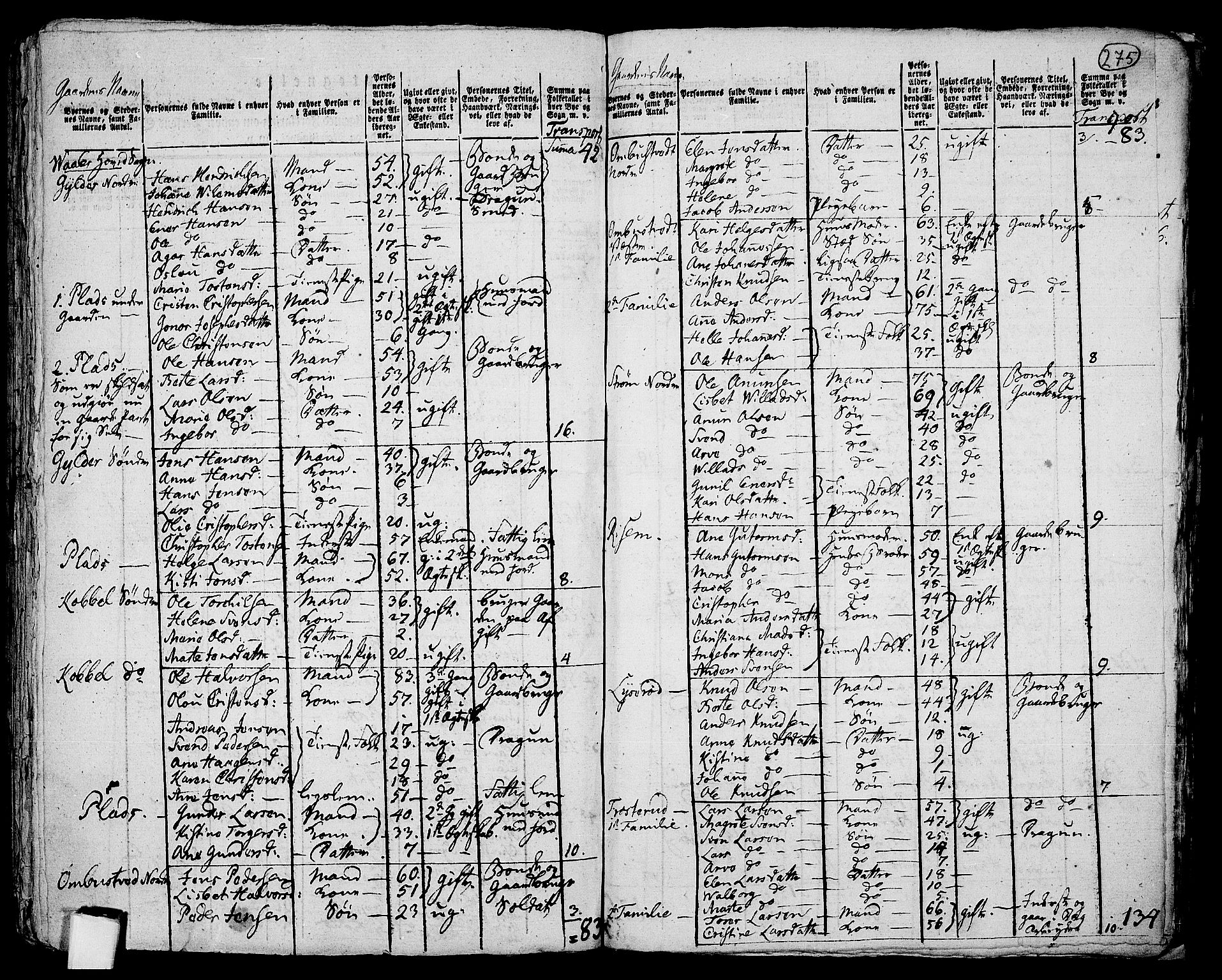 RA, 1801 census for 0137P Våler, 1801, p. 274b-275a