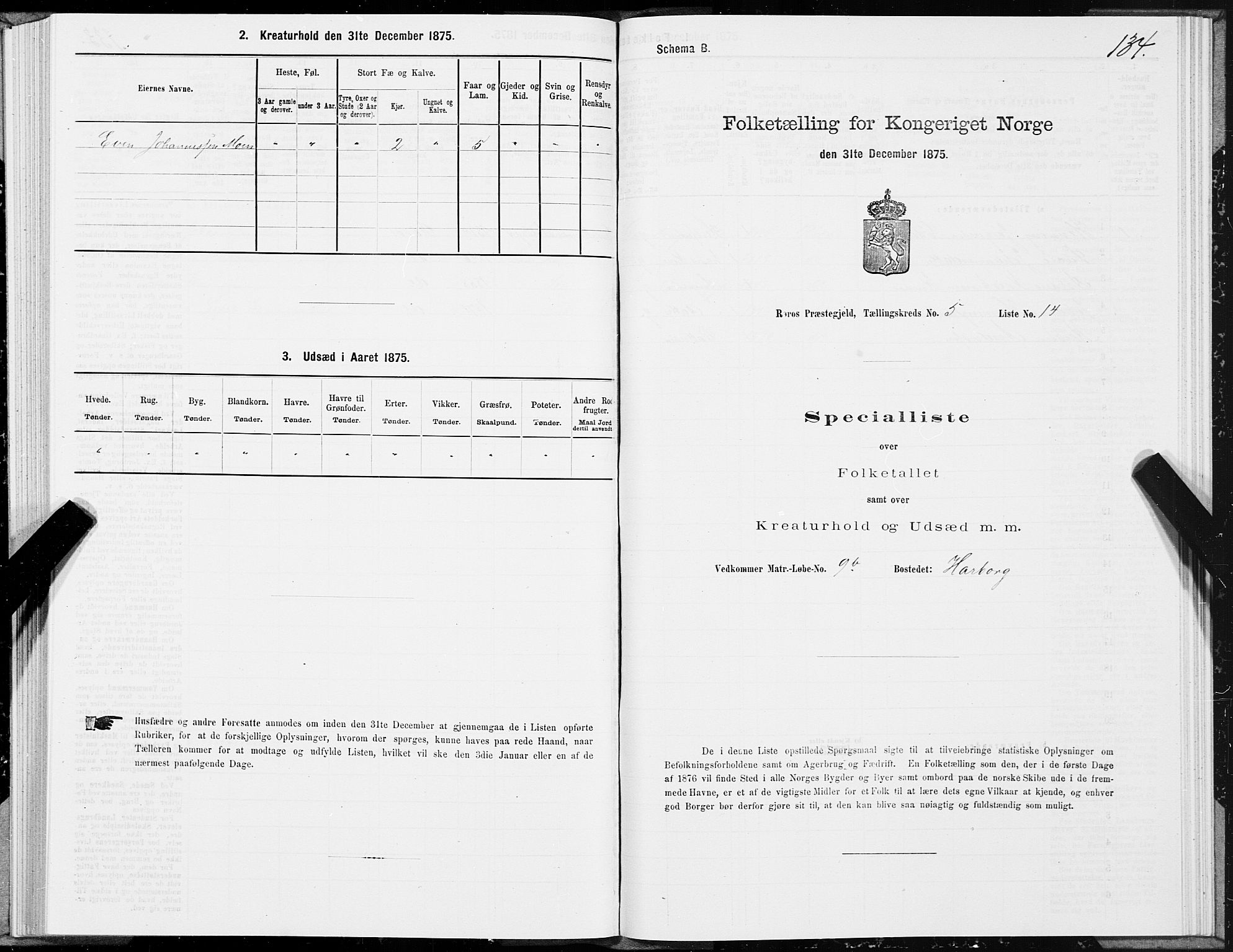 SAT, 1875 census for 1640P Røros, 1875, p. 3134