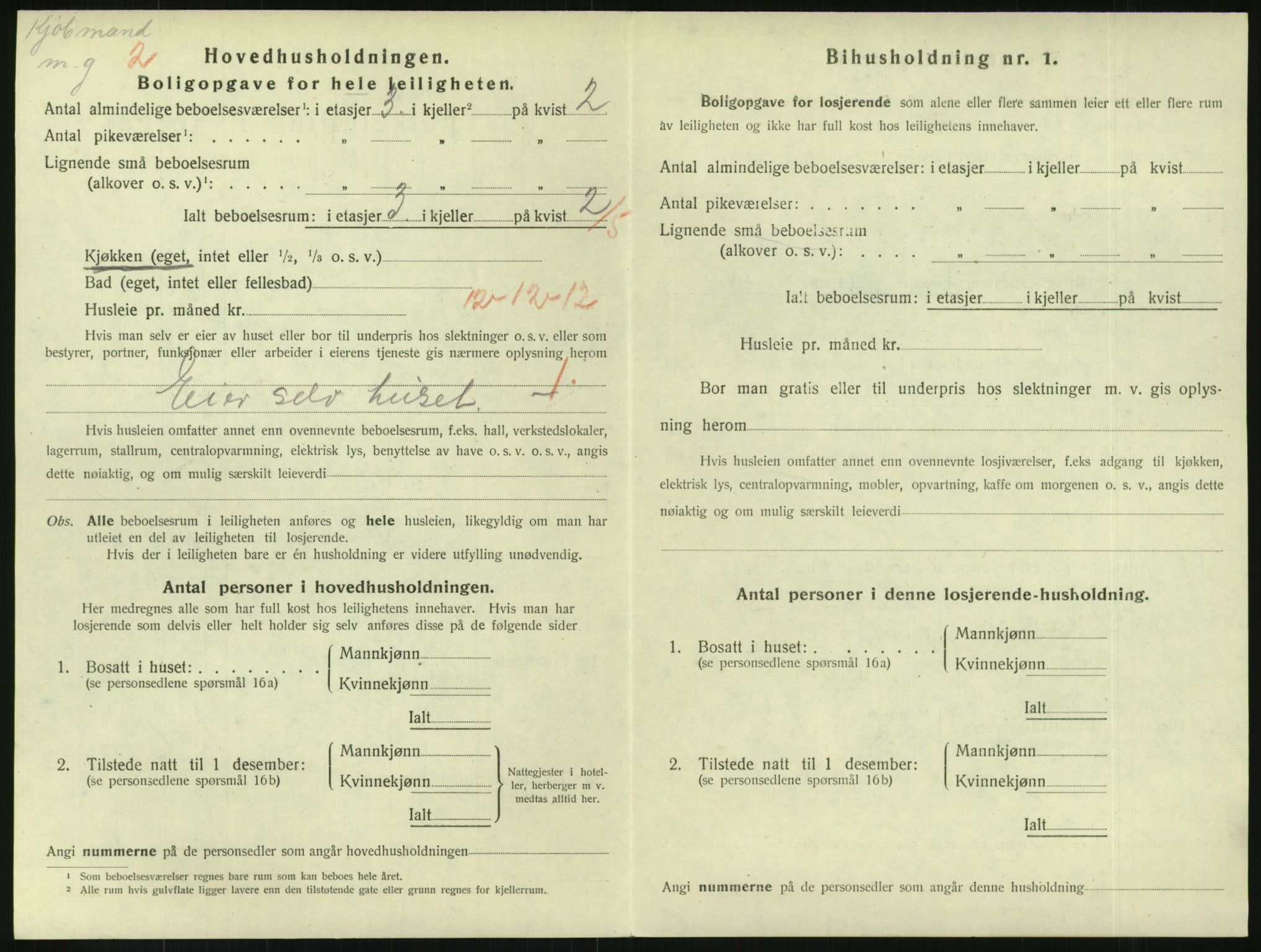 SAKO, 1920 census for Horten, 1920, p. 4308