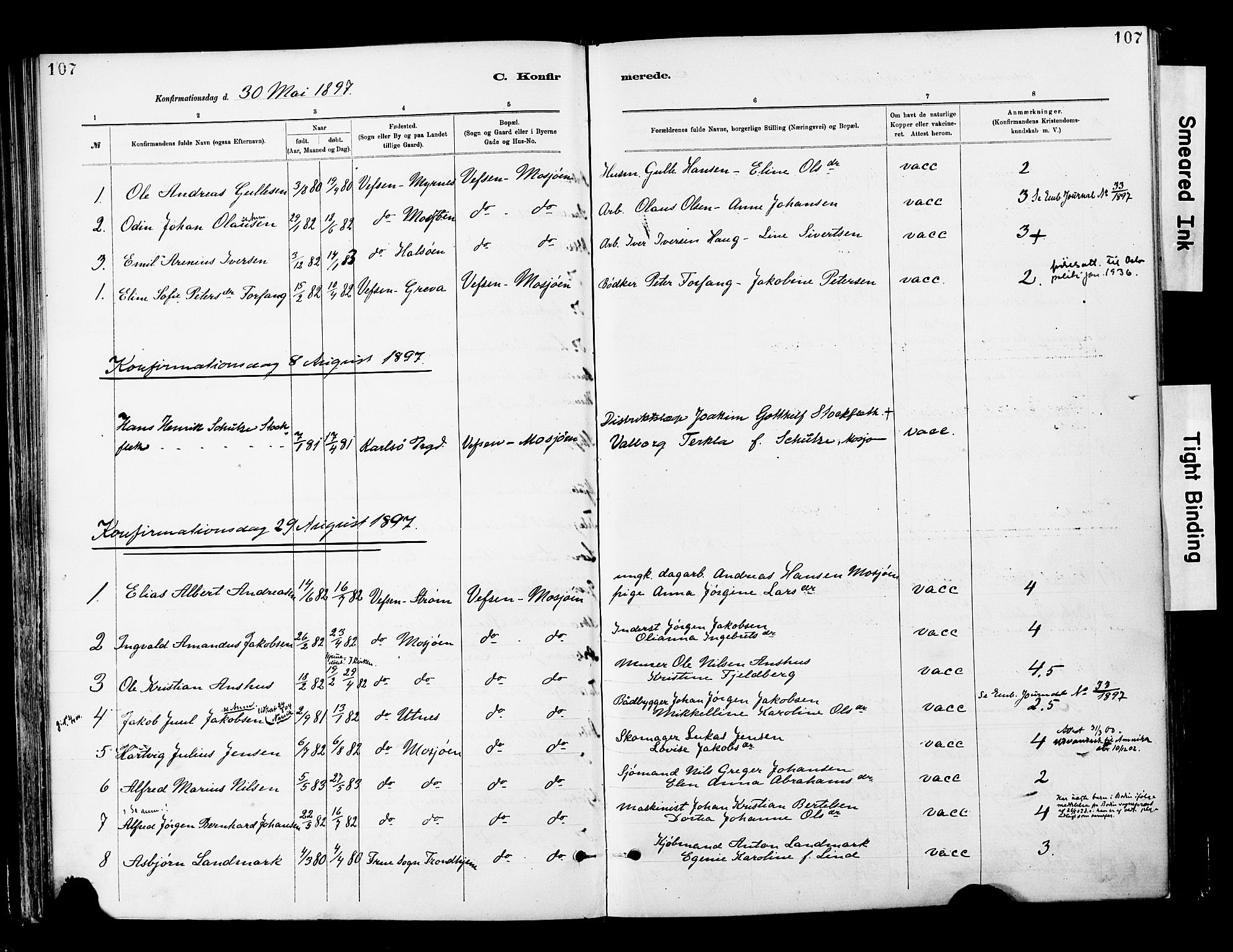 Ministerialprotokoller, klokkerbøker og fødselsregistre - Nordland, AV/SAT-A-1459/820/L0296: Parish register (official) no. 820A17, 1880-1903, p. 107