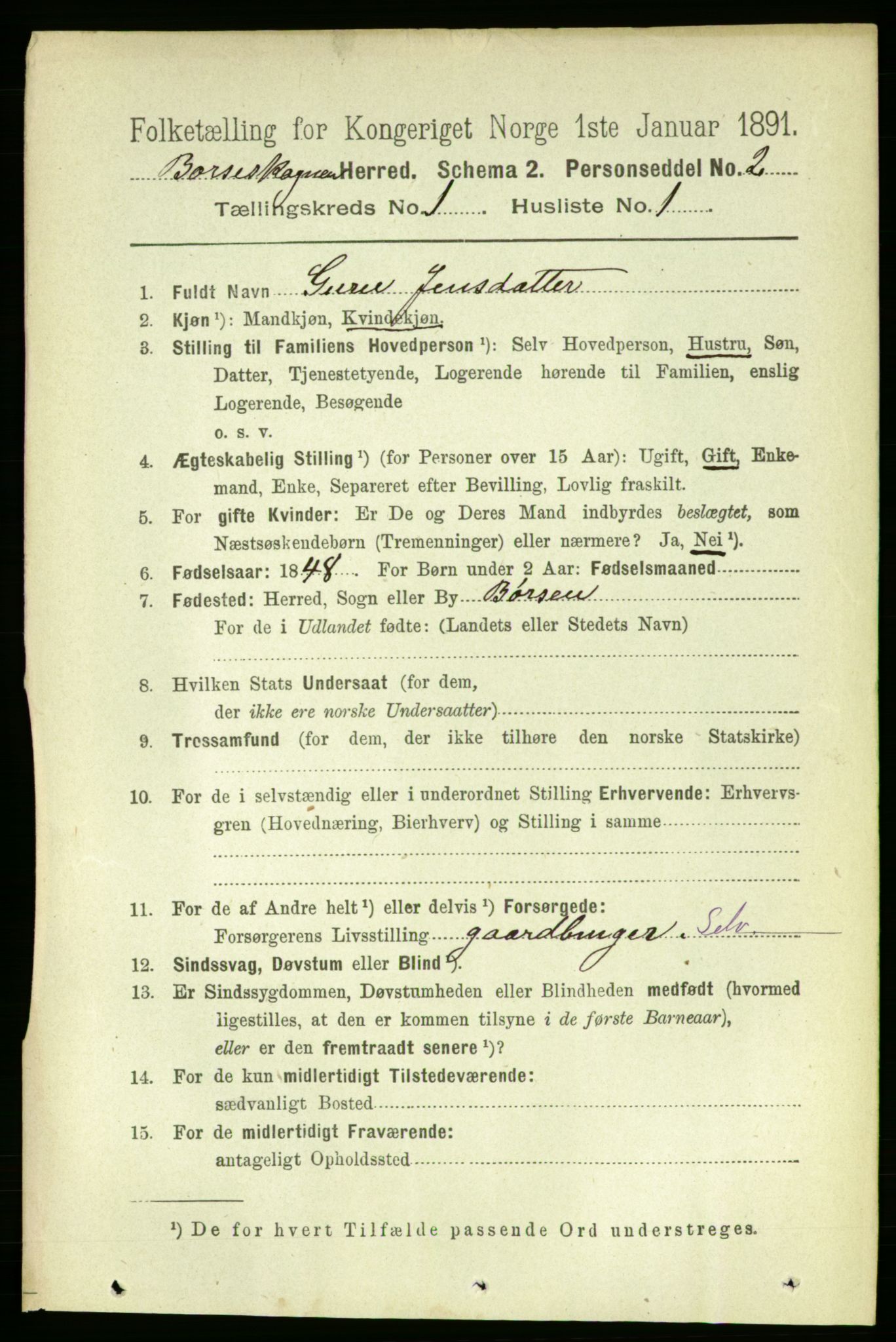 RA, 1891 census for 1657 Børseskogn, 1891, p. 155