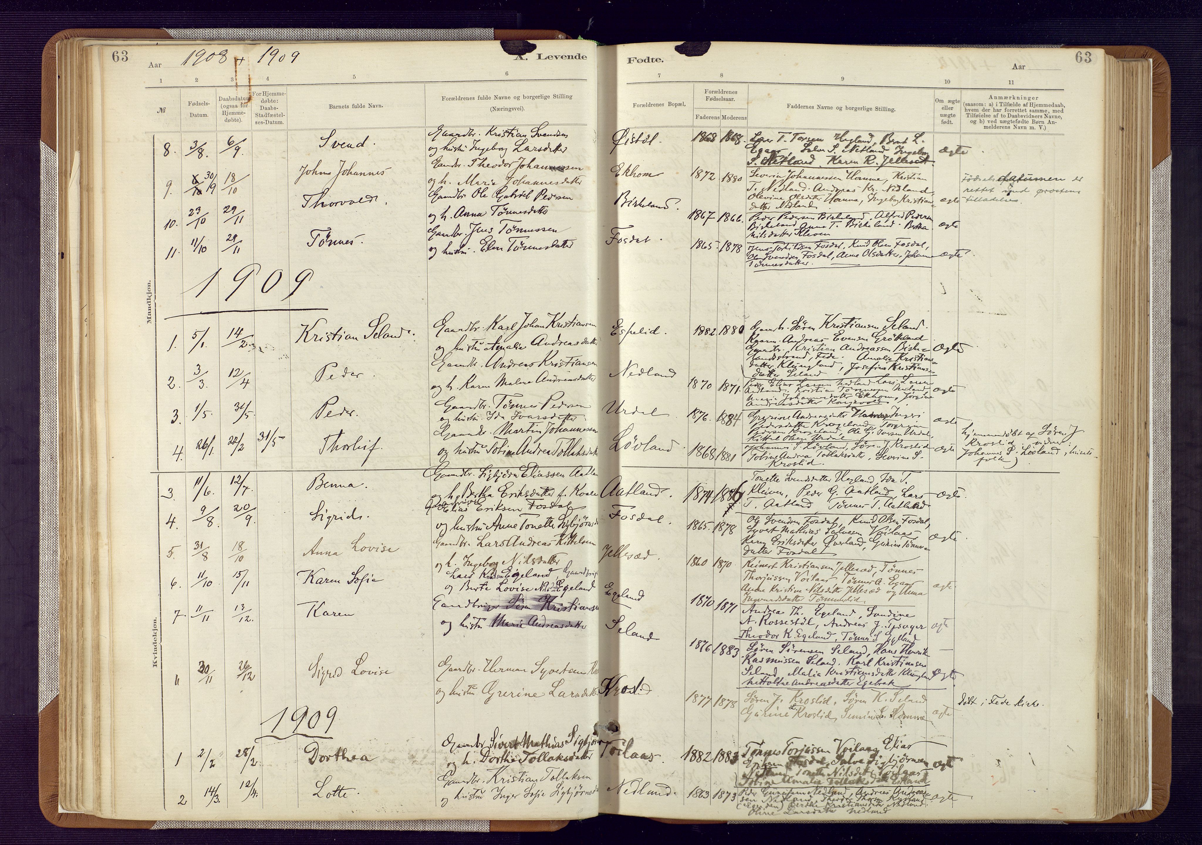 Bakke sokneprestkontor, AV/SAK-1111-0002/F/Fa/Fab/L0003: Parish register (official) no. A 3, 1884-1921, p. 63