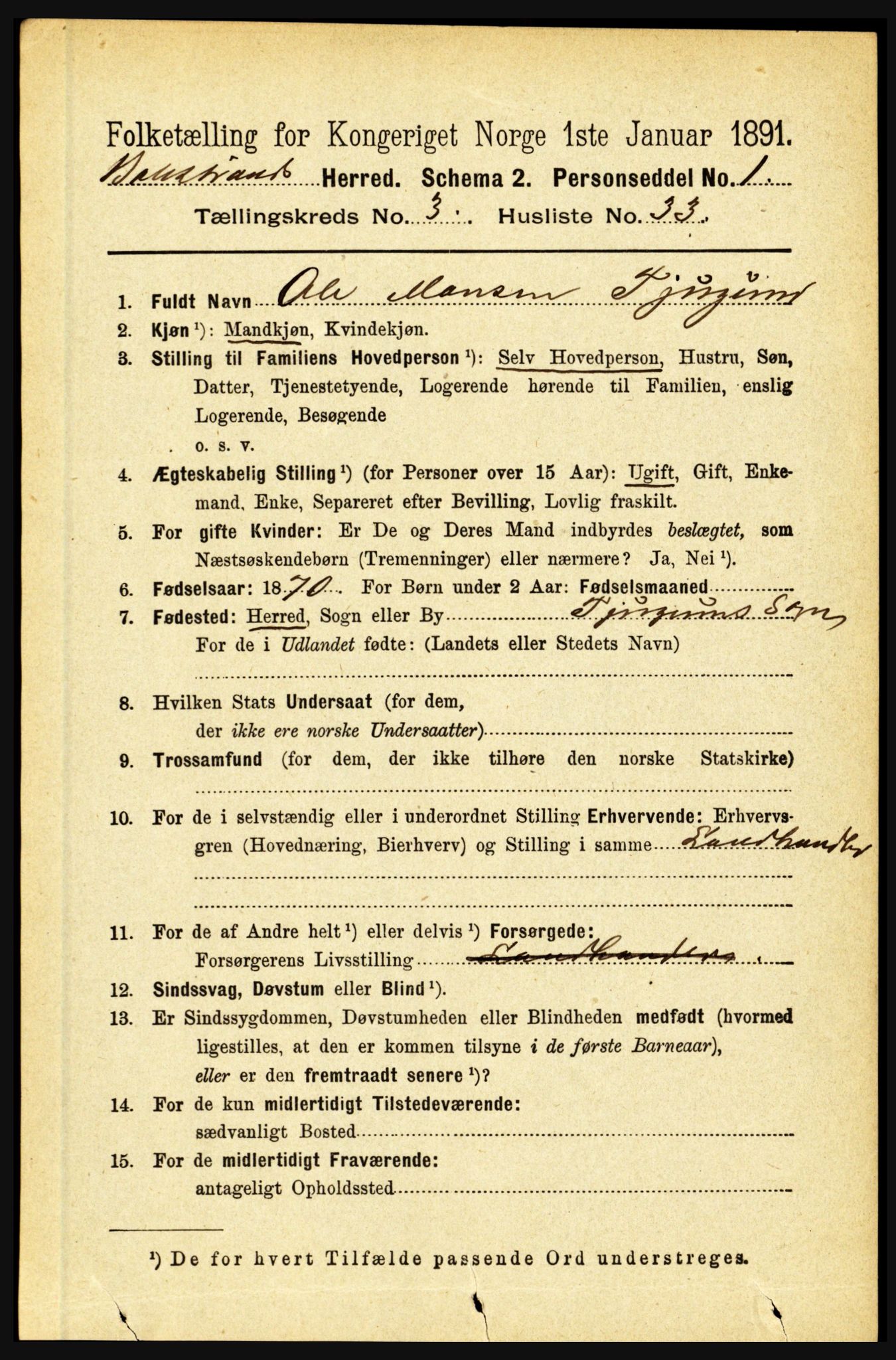 RA, 1891 census for 1418 Balestrand, 1891, p. 796