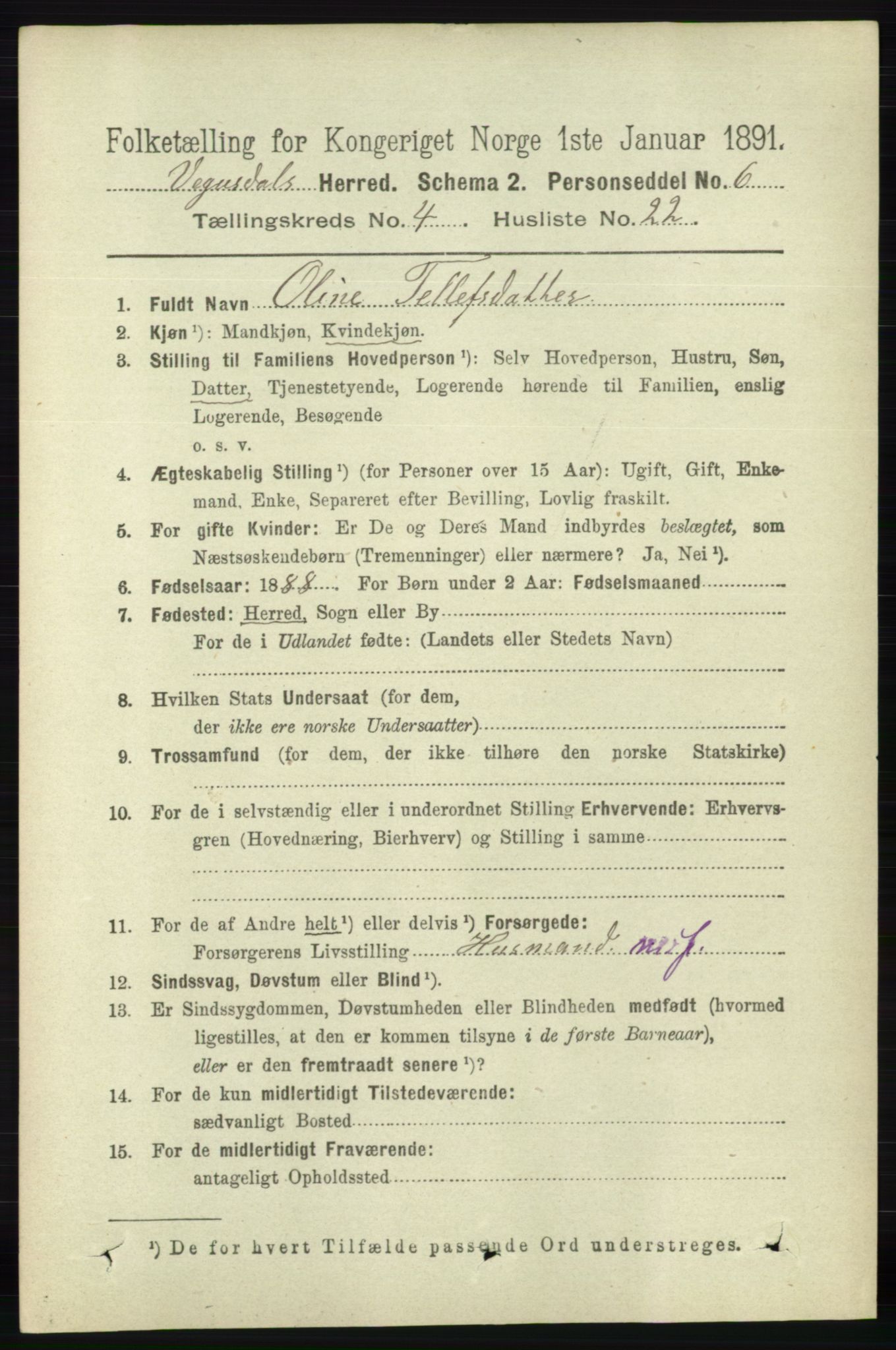 RA, 1891 census for 0934 Vegusdal, 1891, p. 843