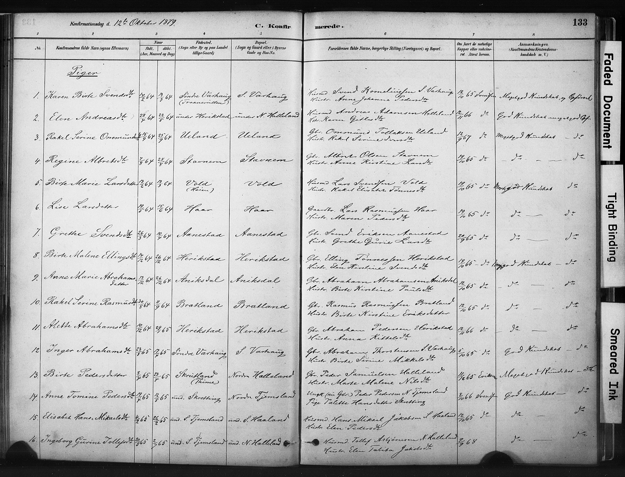 Hå sokneprestkontor, AV/SAST-A-101801/001/30BA/L0011: Parish register (official) no. A 10, 1879-1900, p. 133