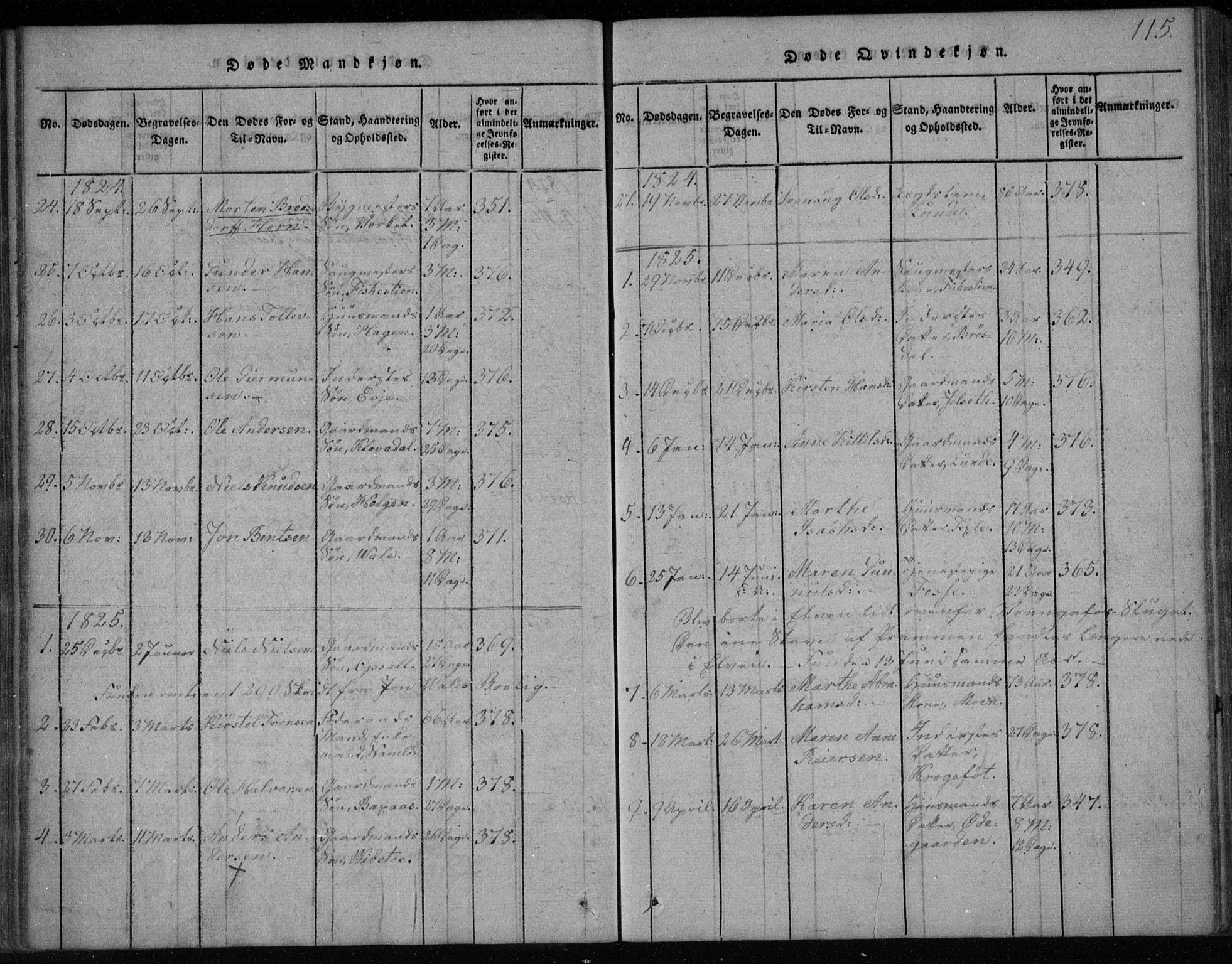 Holla kirkebøker, SAKO/A-272/F/Fa/L0003: Parish register (official) no. 3, 1815-1830, p. 115