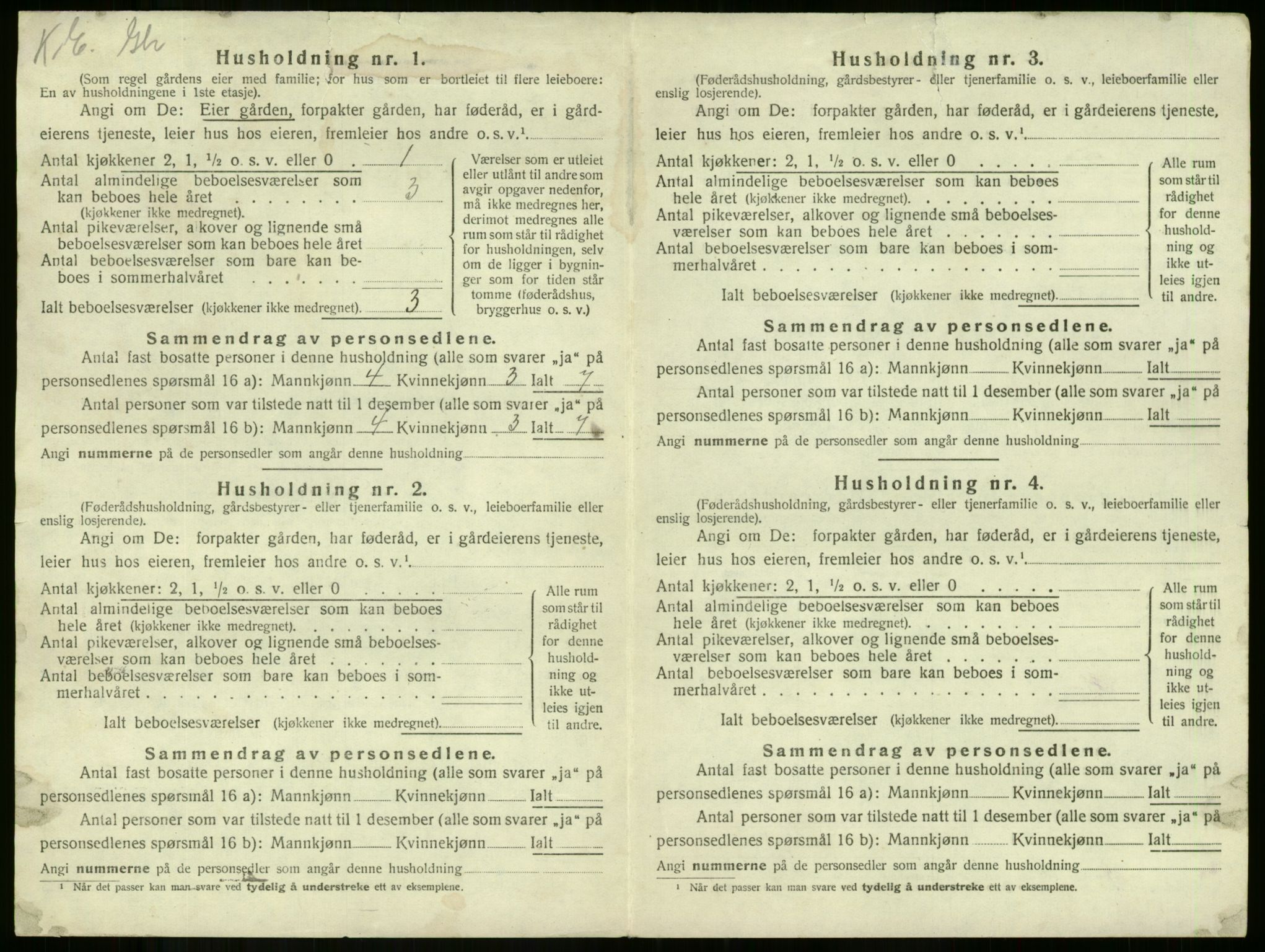 SAKO, 1920 census for Våle, 1920, p. 48