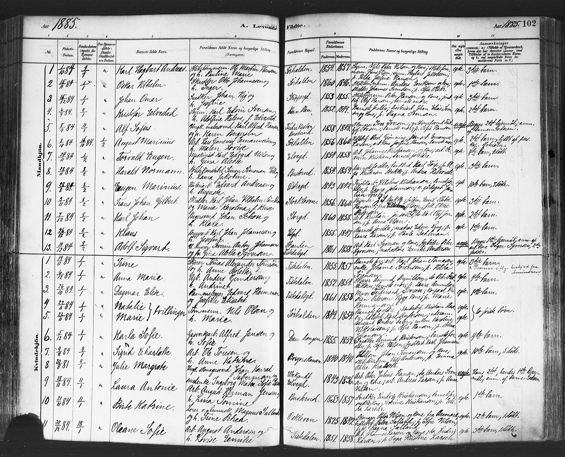 Halden prestekontor Kirkebøker, SAO/A-10909/F/Fa/L0011: Parish register (official) no. I 11, 1878-1889, p. 102