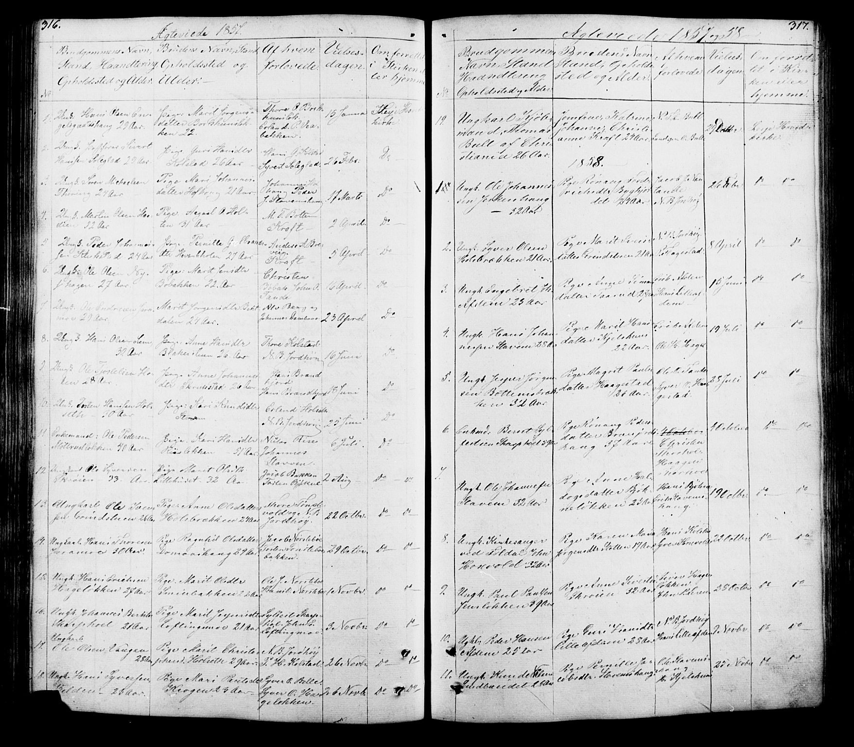 Lesja prestekontor, SAH/PREST-068/H/Ha/Hab/L0005: Parish register (copy) no. 5, 1850-1894, p. 316-317