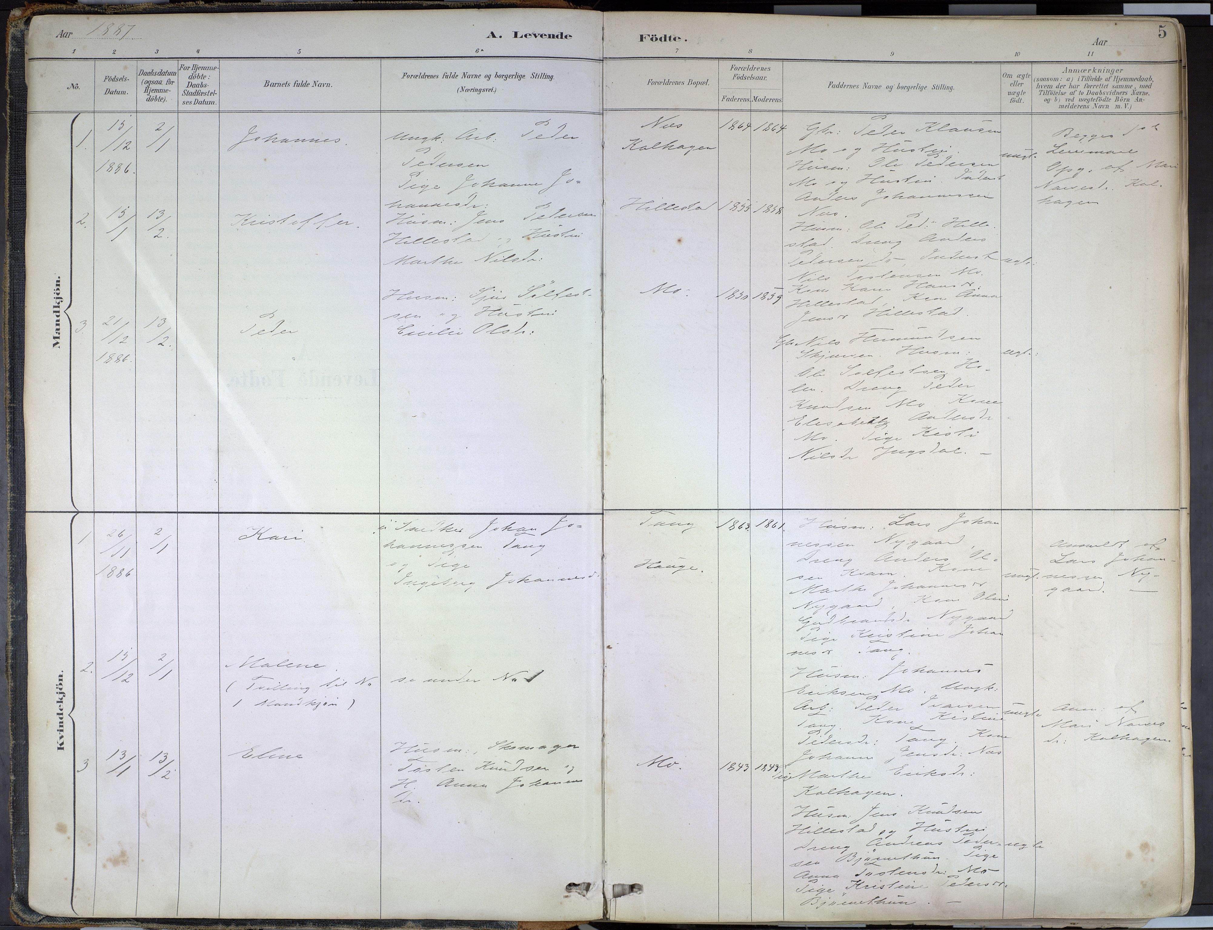 Hafslo sokneprestembete, SAB/A-80301/H/Haa/Haab/L0001: Parish register (official) no. B 1, 1886-1945, p. 5