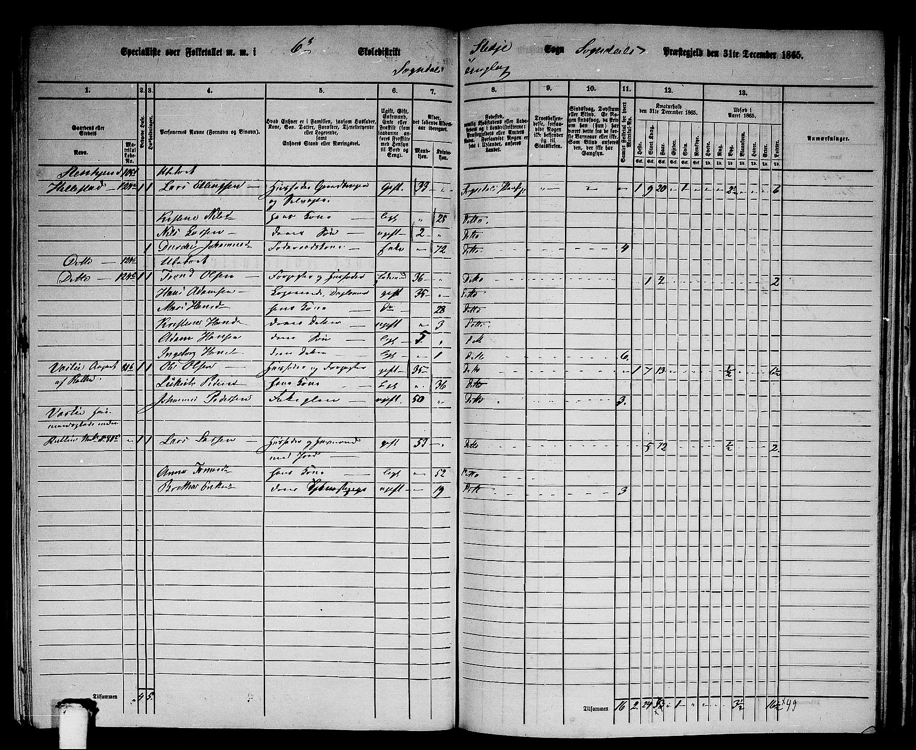 RA, 1865 census for Sogndal, 1865, p. 116