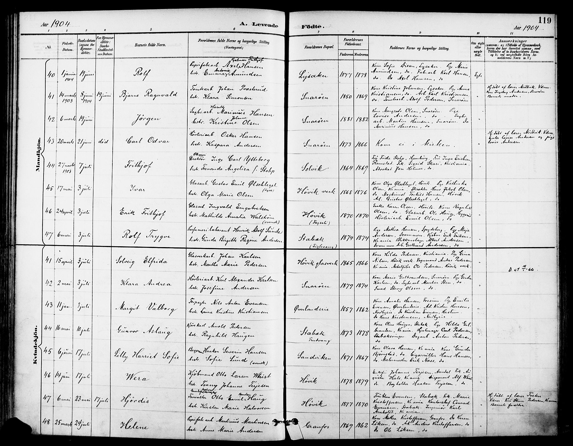 Asker prestekontor Kirkebøker, SAO/A-10256a/F/Fc/L0003: Parish register (official) no. III 3, 1892-1904, p. 119