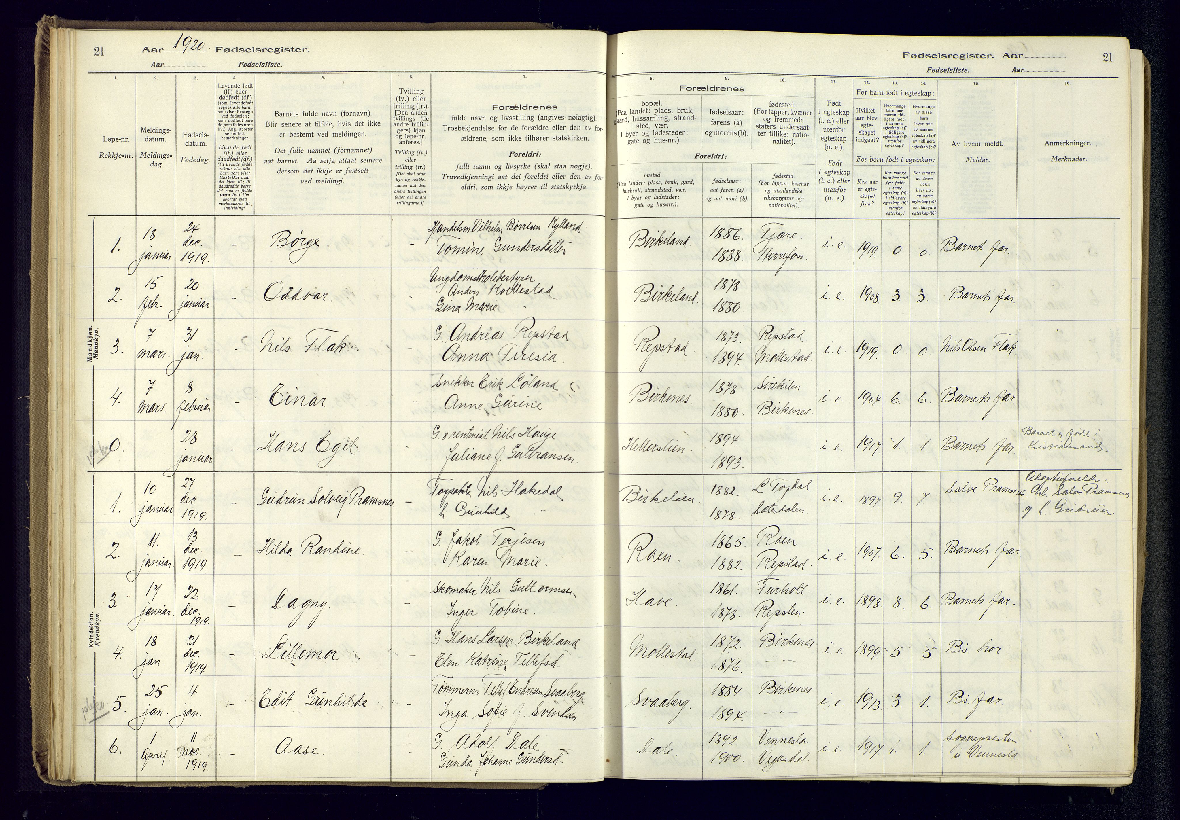Birkenes sokneprestkontor, SAK/1111-0004/J/Ja/L0001: Birth register no. II.6.4, 1916-1962, p. 21