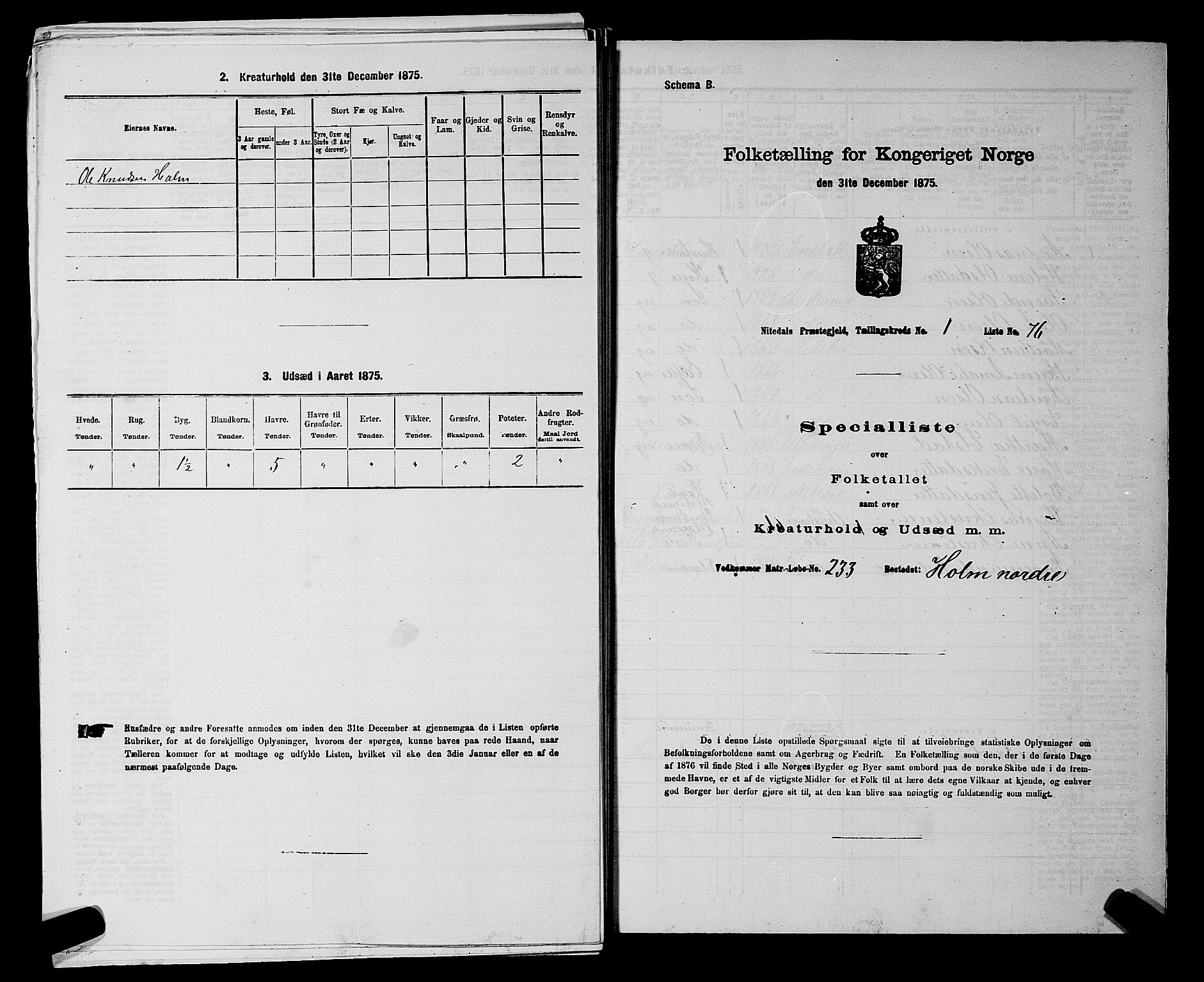 RA, 1875 census for 0233P Nittedal, 1875, p. 189