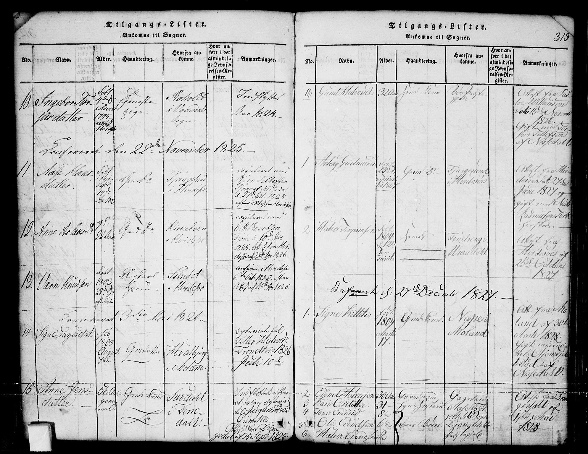Nissedal kirkebøker, SAKO/A-288/G/Ga/L0001: Parish register (copy) no. I 1, 1814-1860, p. 313