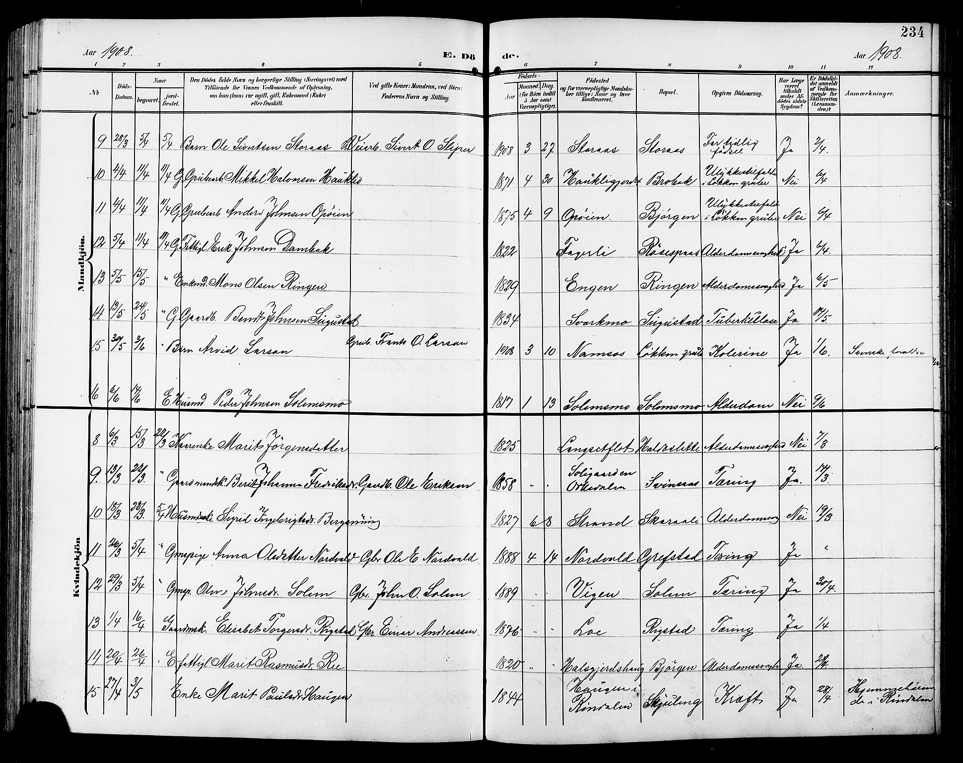 Ministerialprotokoller, klokkerbøker og fødselsregistre - Sør-Trøndelag, SAT/A-1456/672/L0864: Parish register (copy) no. 672C03, 1902-1914, p. 234