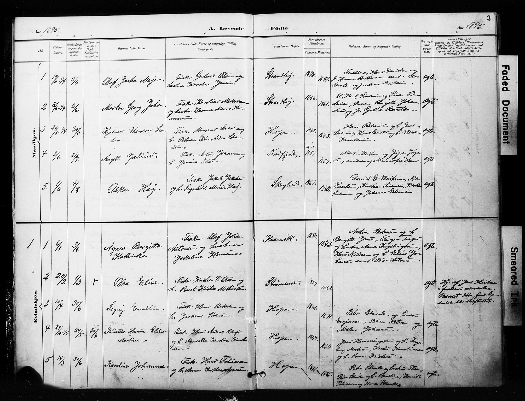 Berg sokneprestkontor, SATØ/S-1318/G/Ga/Gaa/L0005kirke: Parish register (official) no. 5, 1894-1905, p. 3