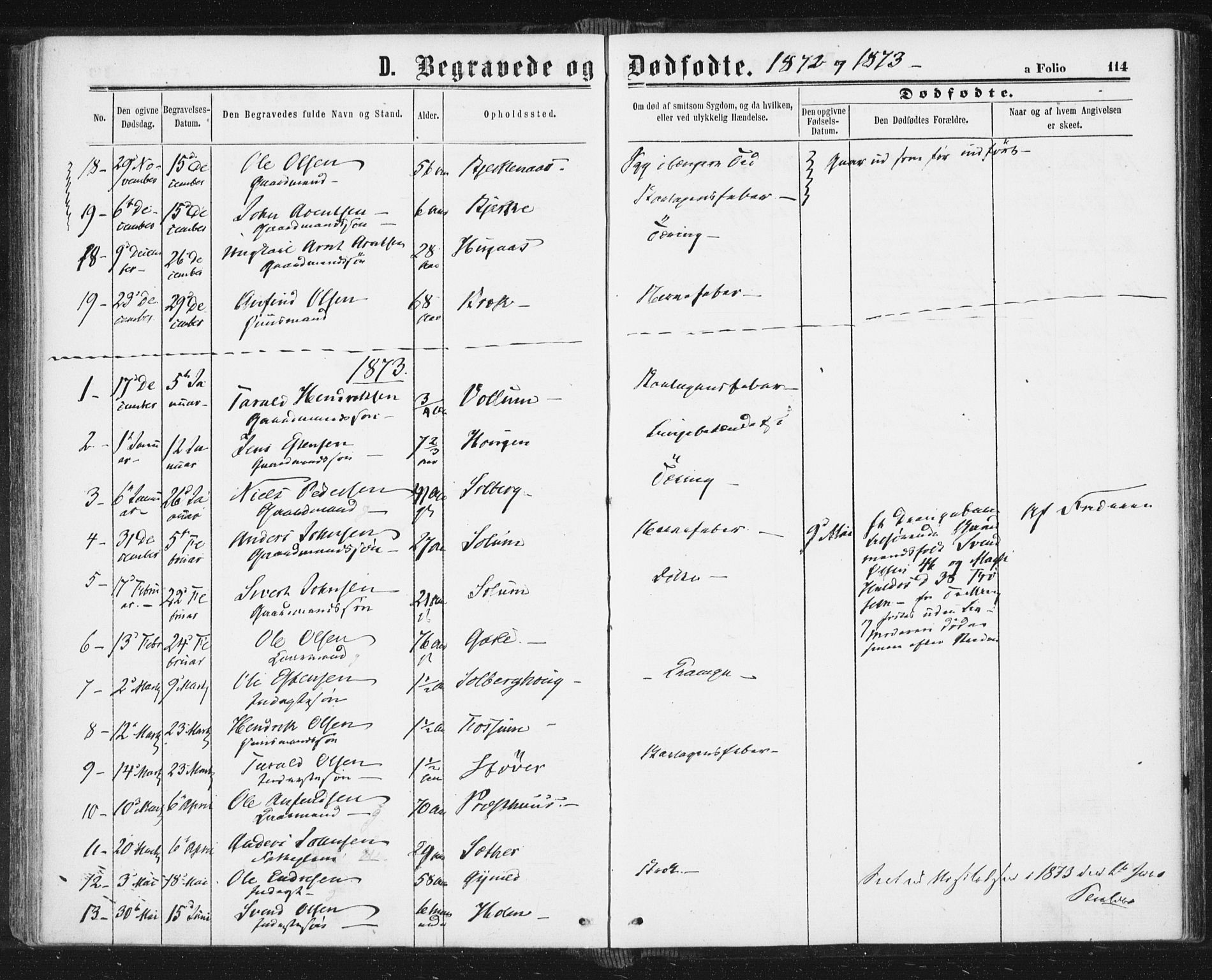 Ministerialprotokoller, klokkerbøker og fødselsregistre - Sør-Trøndelag, SAT/A-1456/689/L1039: Parish register (official) no. 689A04, 1865-1878, p. 114