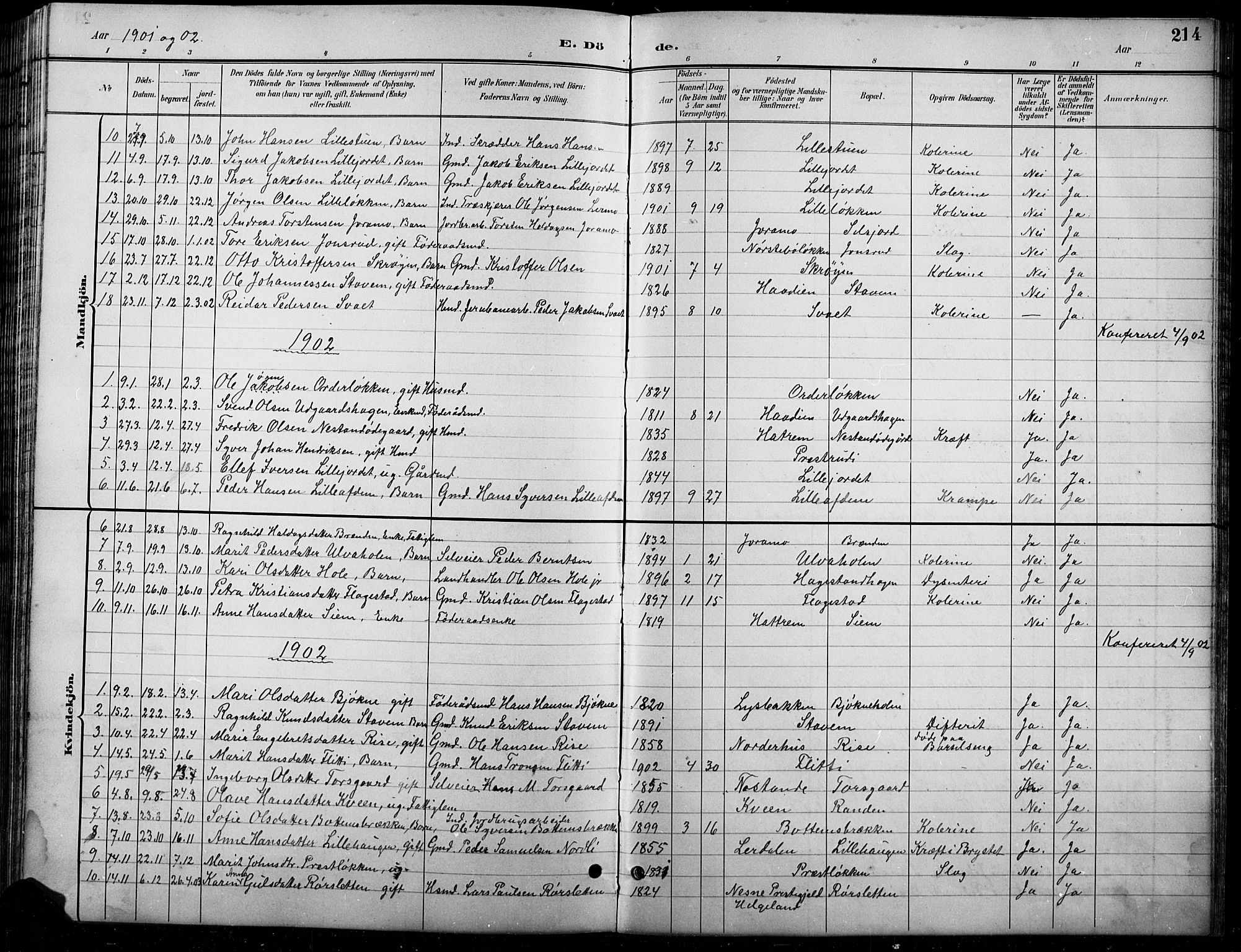 Lesja prestekontor, AV/SAH-PREST-068/H/Ha/Hab/L0007: Parish register (copy) no. 7, 1895-1919, p. 214