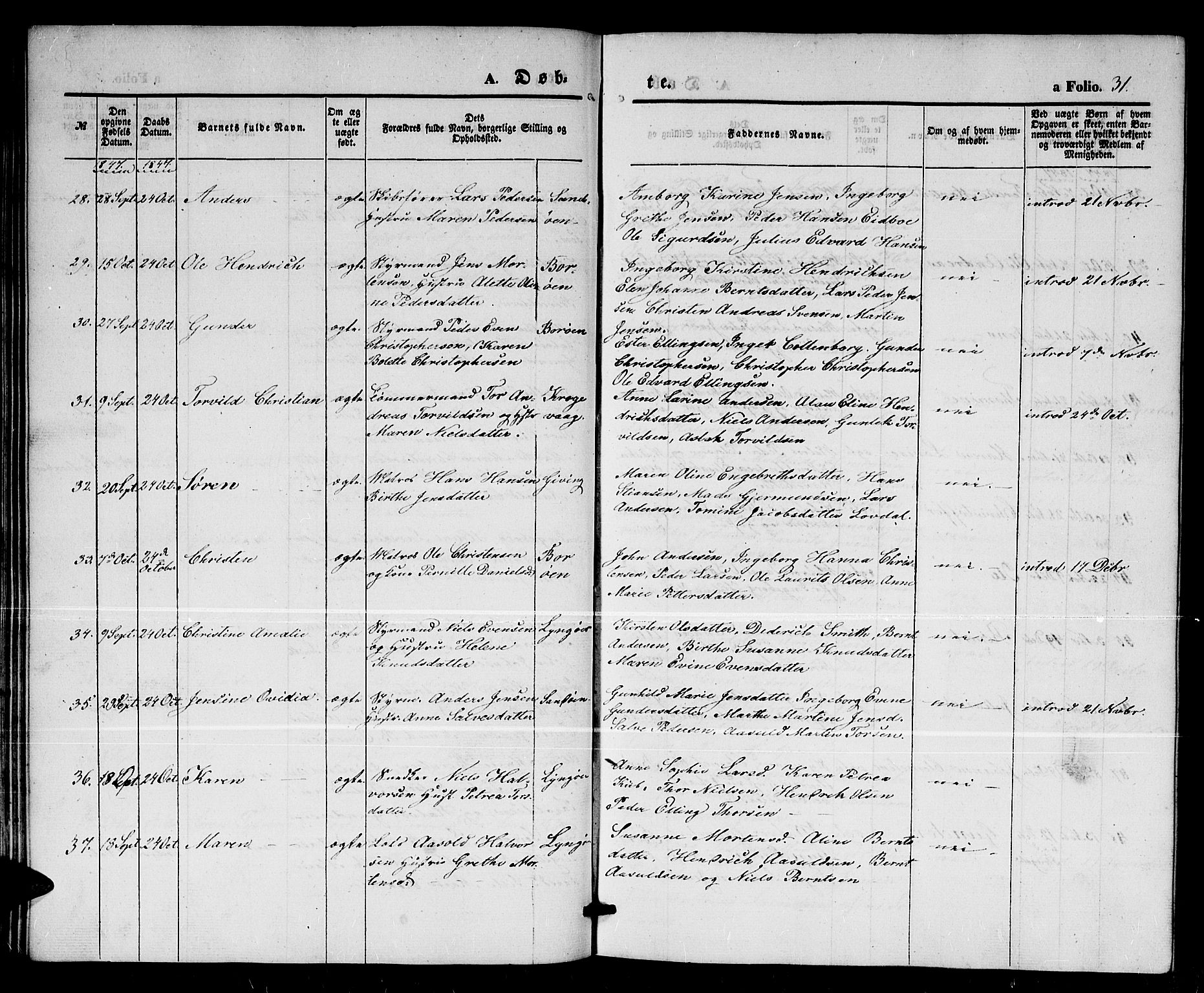 Dypvåg sokneprestkontor, AV/SAK-1111-0007/F/Fb/Fba/L0010: Parish register (copy) no. B 10, 1842-1857, p. 31