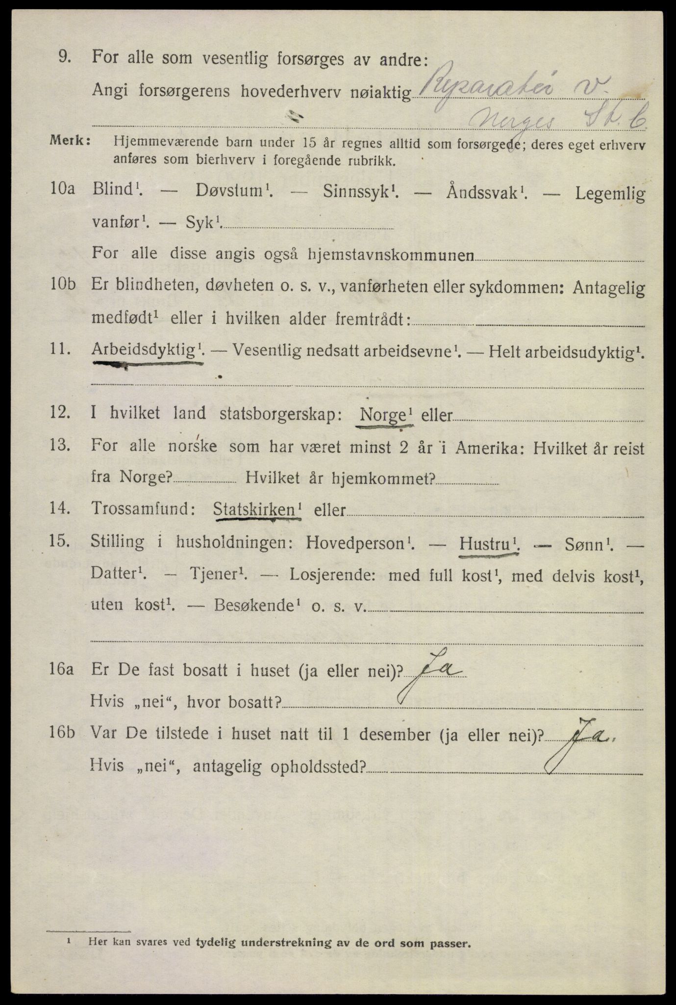 SAKO, 1920 census for Ål, 1920, p. 7025