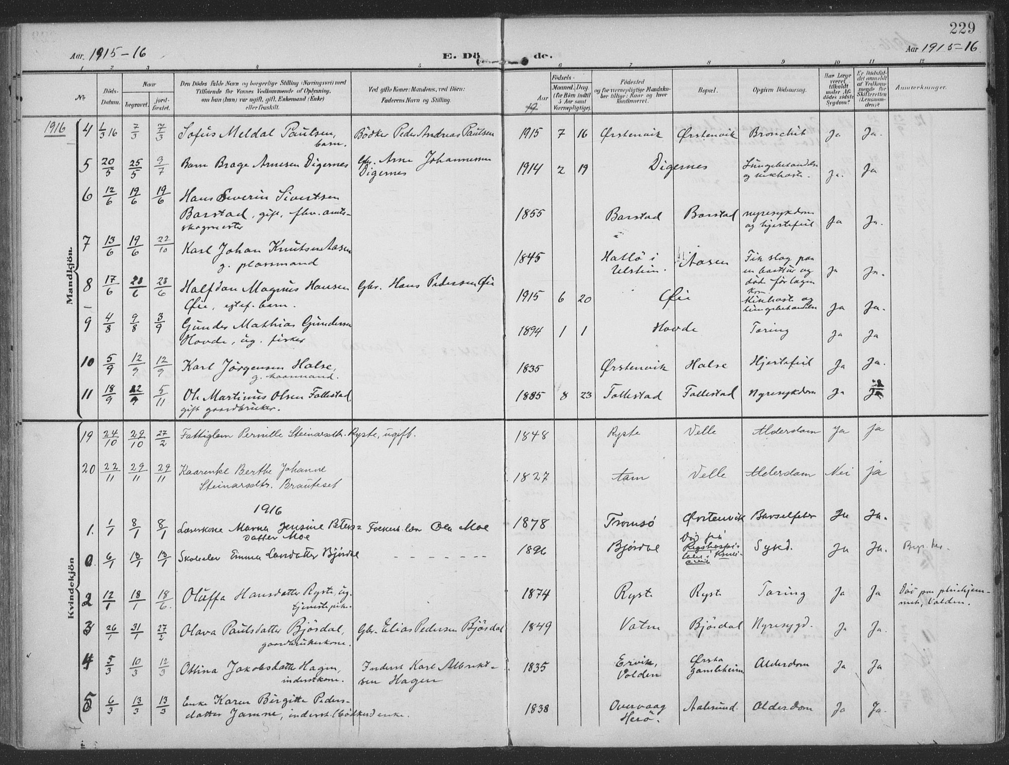 Ministerialprotokoller, klokkerbøker og fødselsregistre - Møre og Romsdal, SAT/A-1454/513/L0178: Parish register (official) no. 513A05, 1906-1919, p. 229