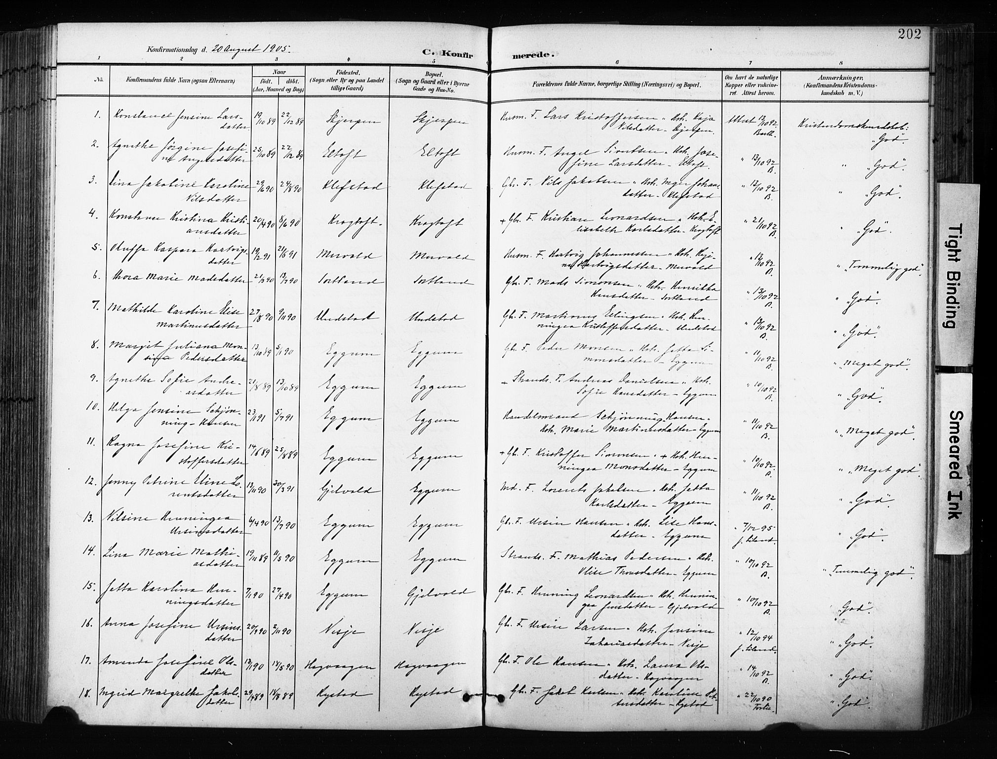 Ministerialprotokoller, klokkerbøker og fødselsregistre - Nordland, AV/SAT-A-1459/880/L1134: Parish register (official) no. 880A08, 1899-1908, p. 202