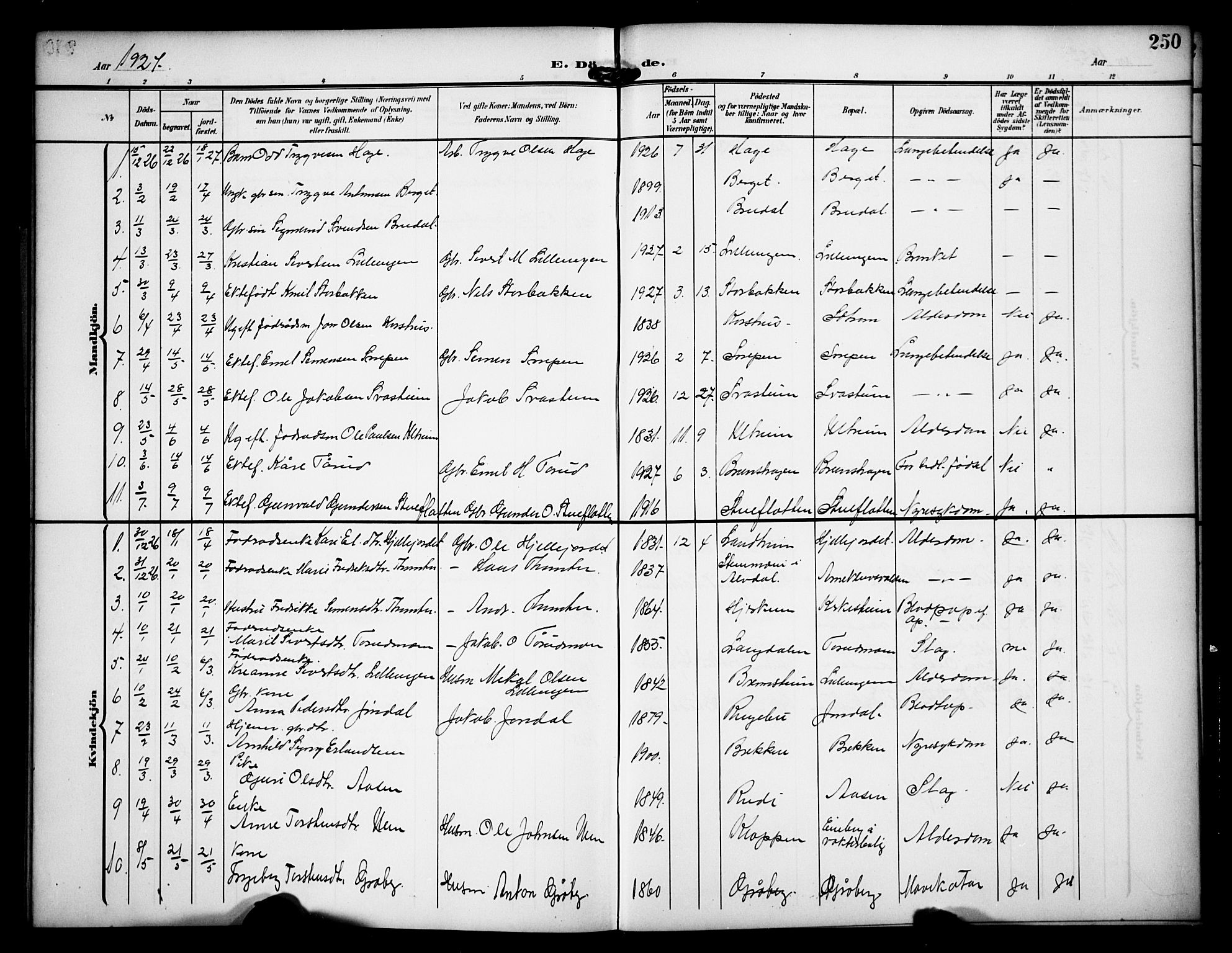 Dovre prestekontor, AV/SAH-PREST-066/H/Ha/Hab/L0003: Parish register (copy) no. 3, 1907-1929, p. 250