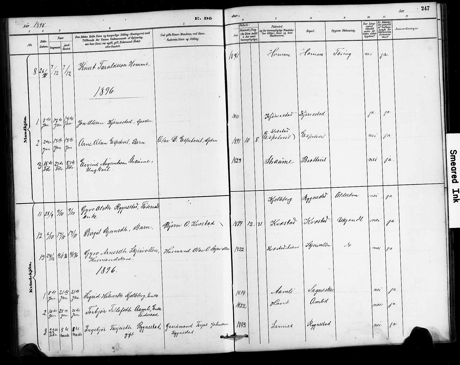 Valle sokneprestkontor, AV/SAK-1111-0044/F/Fb/Fbc/L0004: Parish register (copy) no. B 4, 1890-1928, p. 247