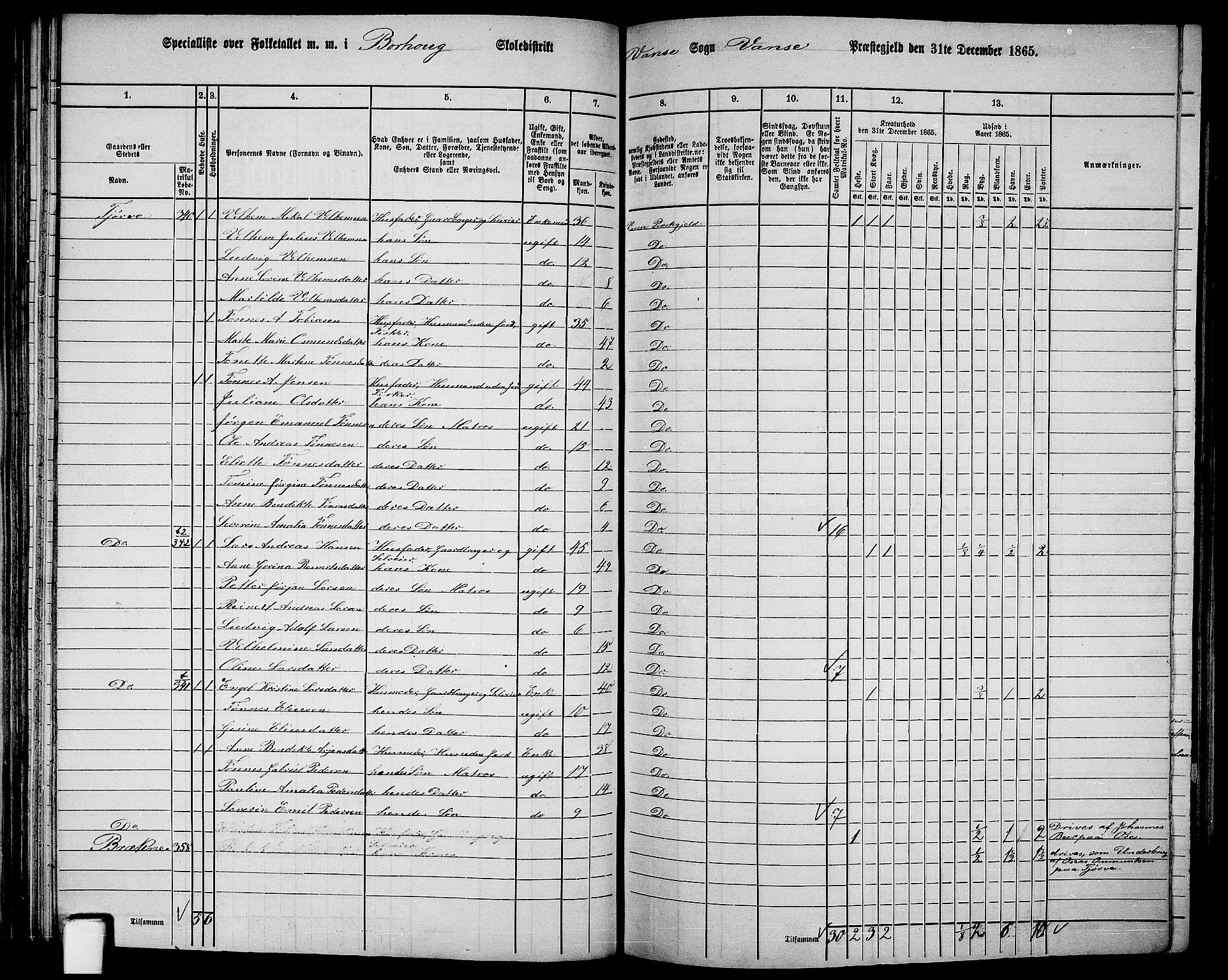 RA, 1865 census for Vanse/Vanse og Farsund, 1865, p. 116