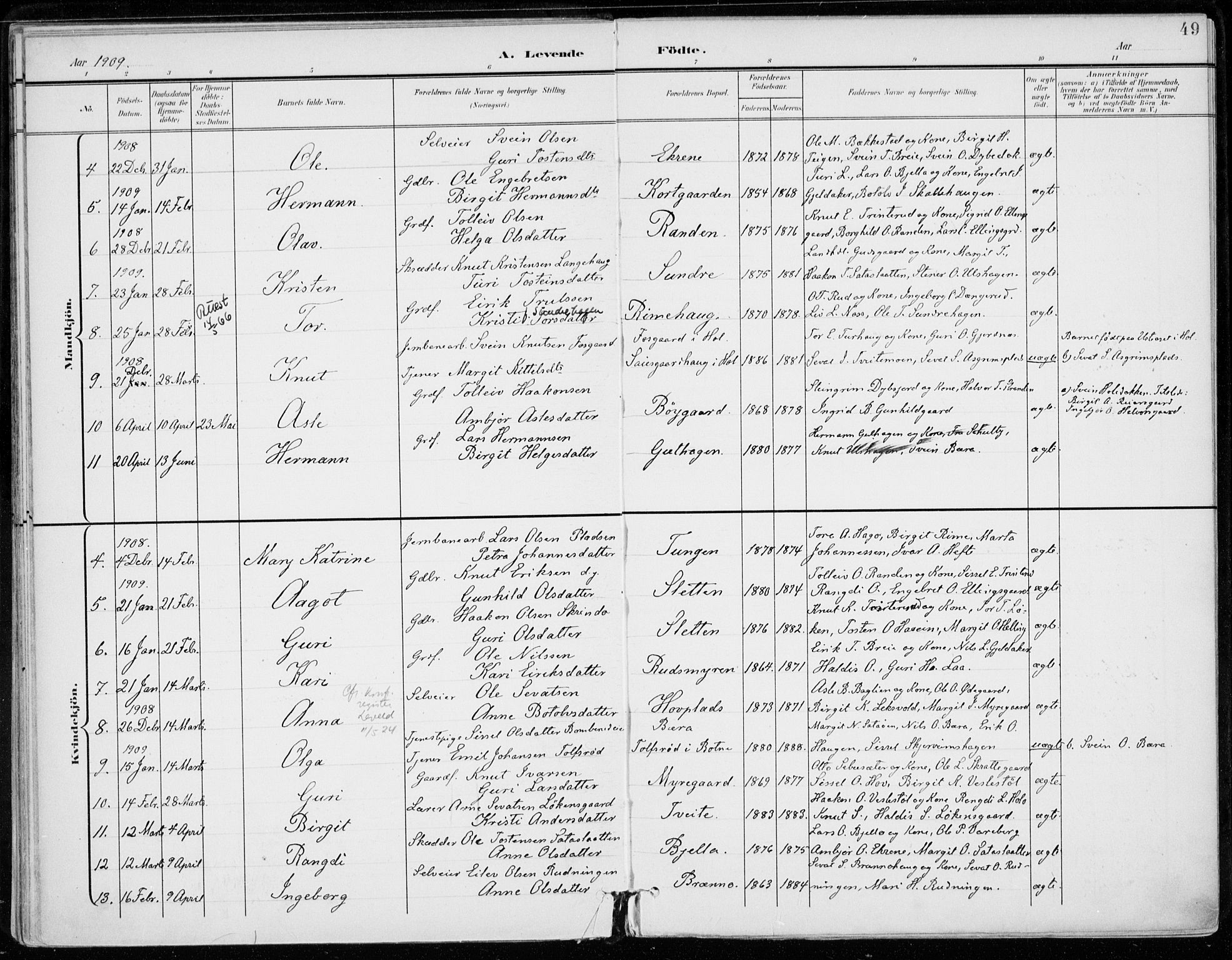 Ål kirkebøker, AV/SAKO-A-249/F/Fa/L0009: Parish register (official) no. I 9, 1897-1915, p. 49