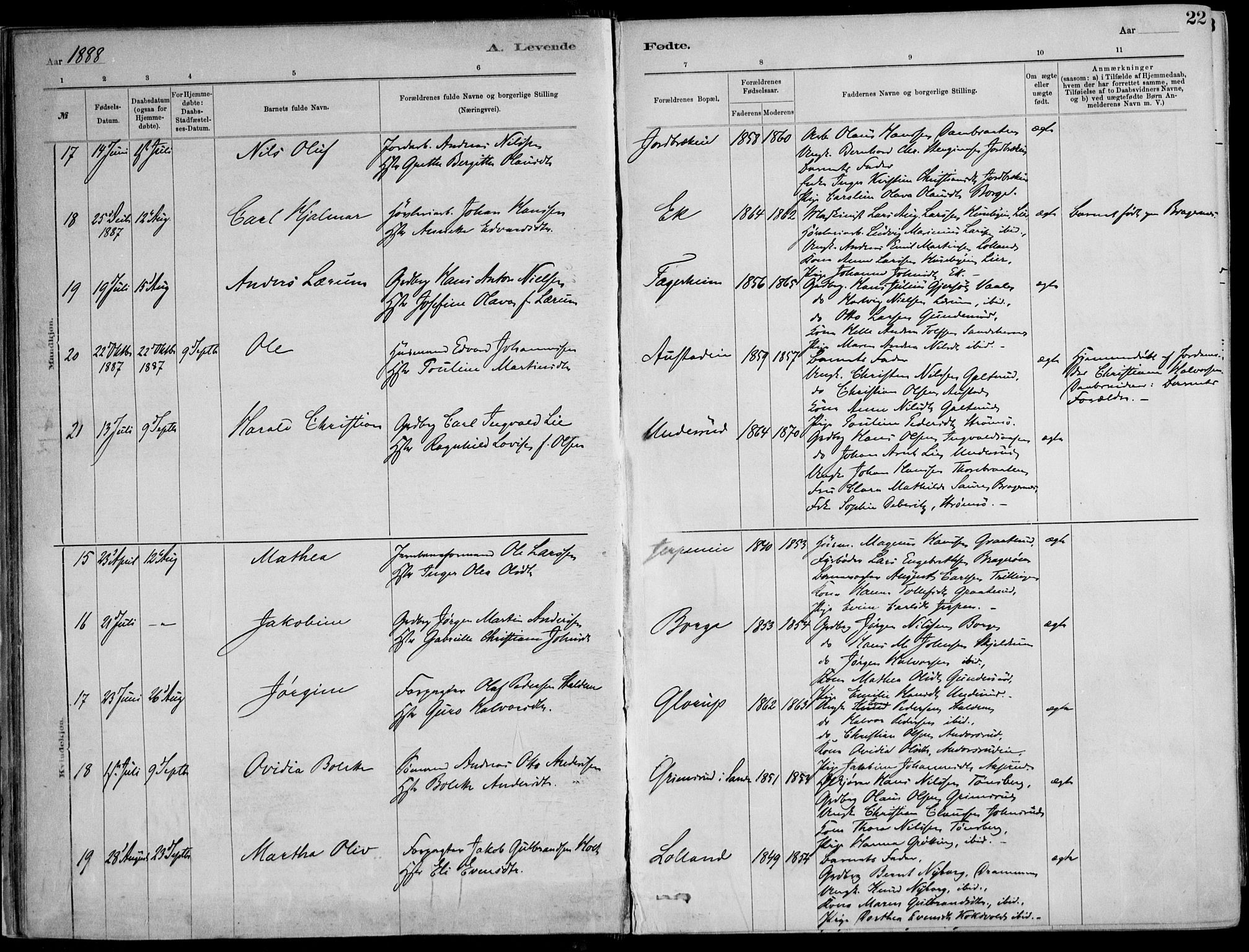 Skoger kirkebøker, AV/SAKO-A-59/F/Fa/L0006: Parish register (official) no. I 6, 1885-1910, p. 22