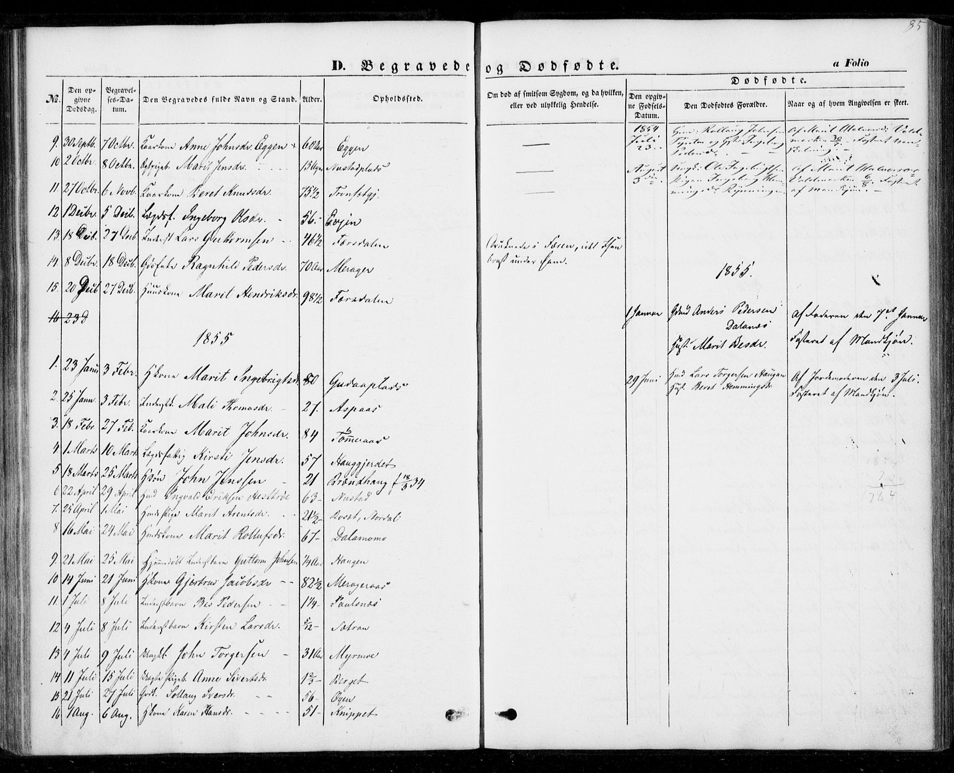 Ministerialprotokoller, klokkerbøker og fødselsregistre - Nord-Trøndelag, SAT/A-1458/706/L0040: Parish register (official) no. 706A01, 1850-1861, p. 85