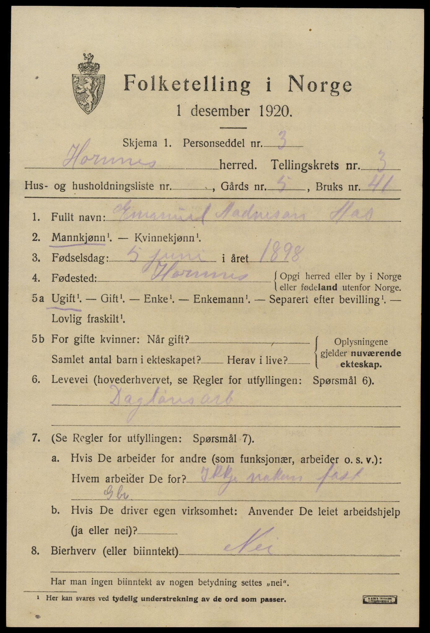 SAK, 1920 census for Hornnes, 1920, p. 925