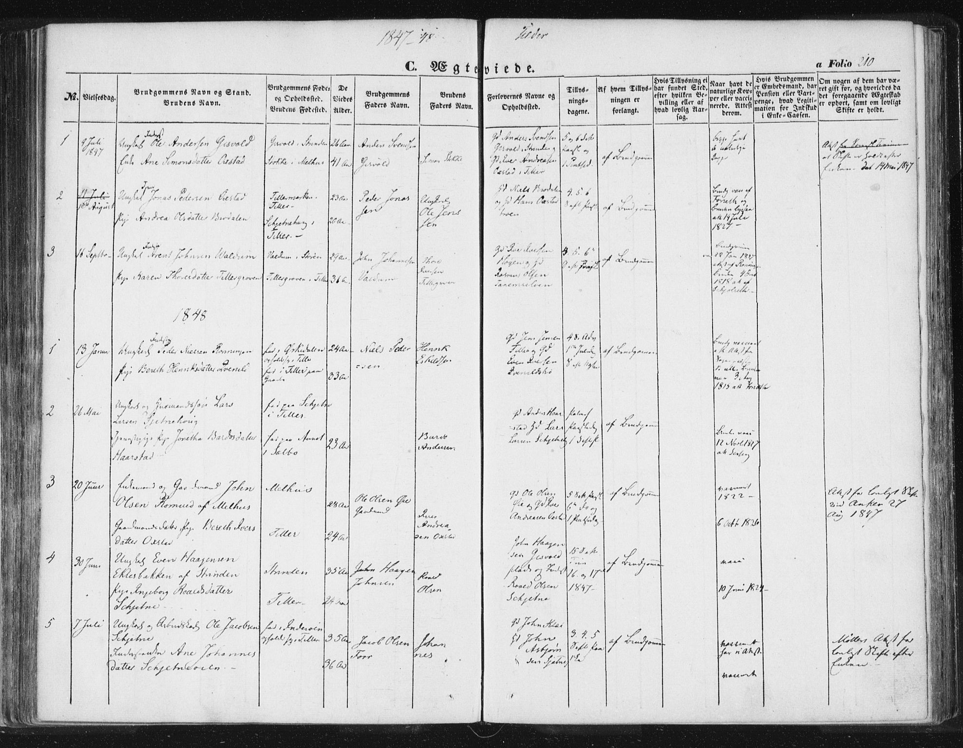 Ministerialprotokoller, klokkerbøker og fødselsregistre - Sør-Trøndelag, SAT/A-1456/618/L0441: Parish register (official) no. 618A05, 1843-1862, p. 210