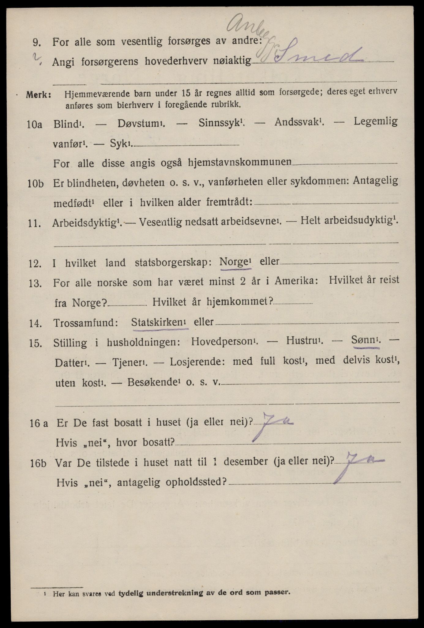SAKO, 1920 census for Nissedal, 1920, p. 1500