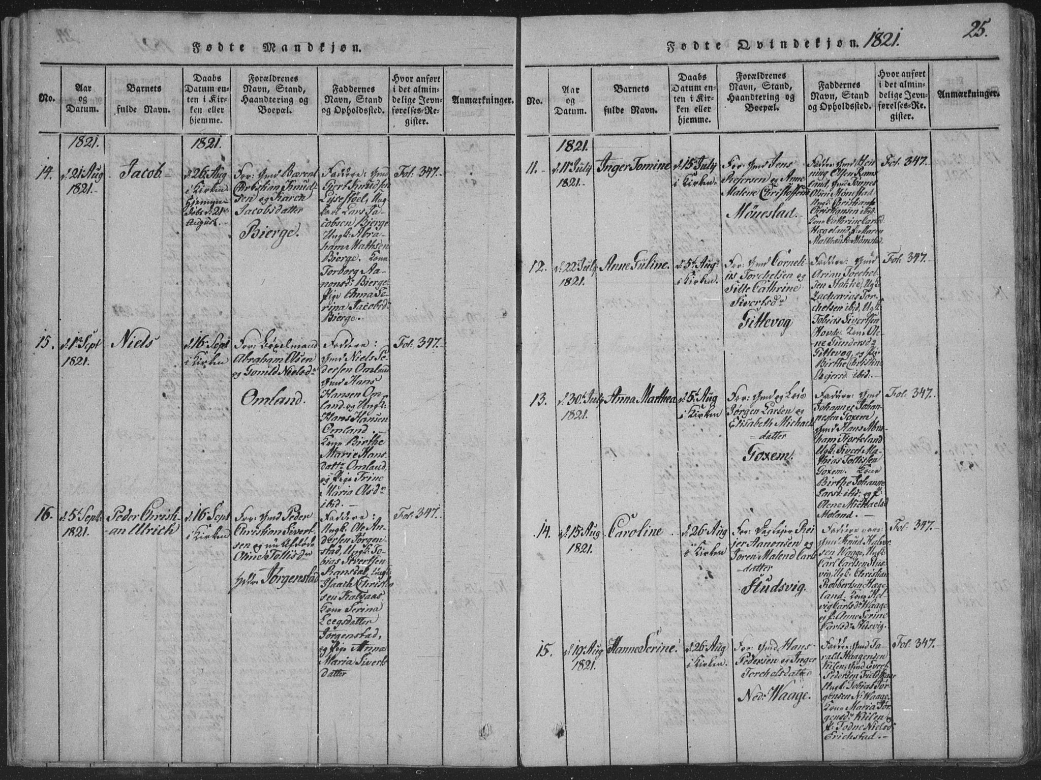 Sør-Audnedal sokneprestkontor, AV/SAK-1111-0039/F/Fa/Faa/L0001: Parish register (official) no. A 1, 1816-1848, p. 25