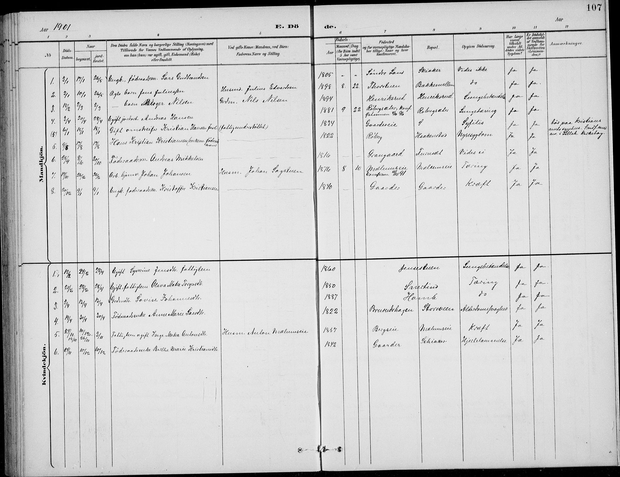 Nordre Land prestekontor, SAH/PREST-124/H/Ha/Hab/L0014: Parish register (copy) no. 14, 1891-1907, p. 107