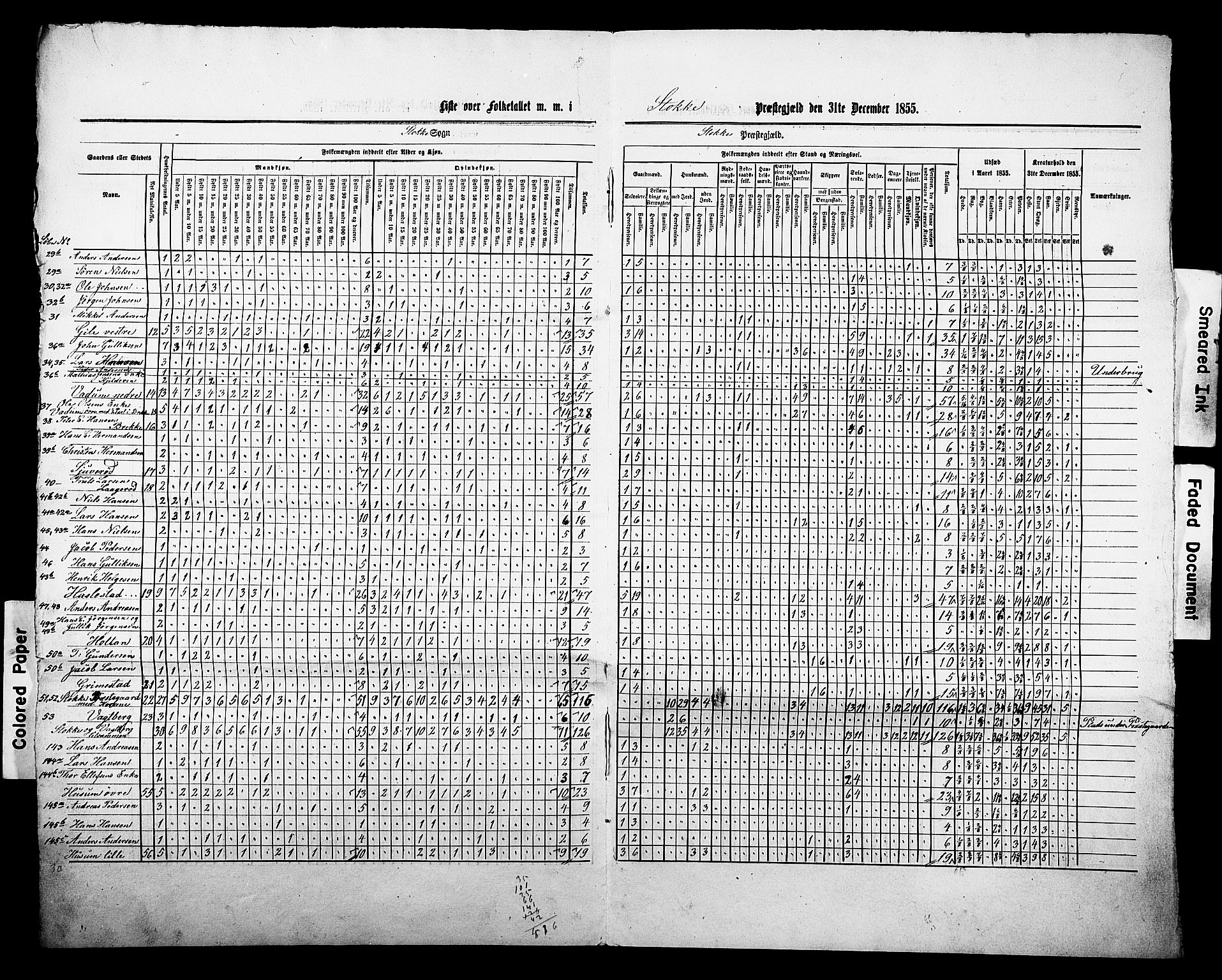 , Census 1855 for Stokke, 1855, p. 3