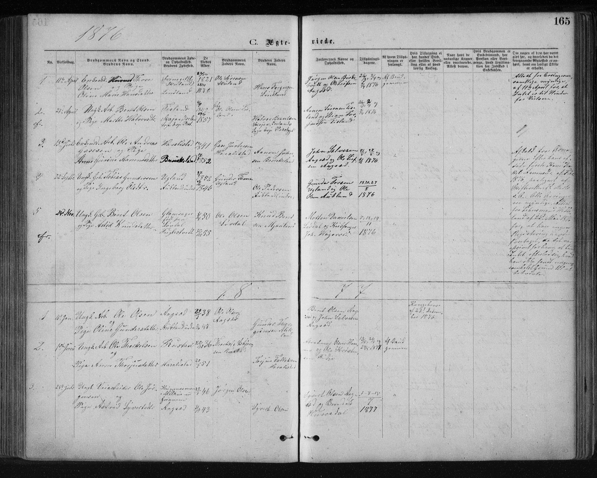 Holum sokneprestkontor, AV/SAK-1111-0022/F/Fb/Fbb/L0003: Parish register (copy) no. B 3, 1875-1898, p. 165