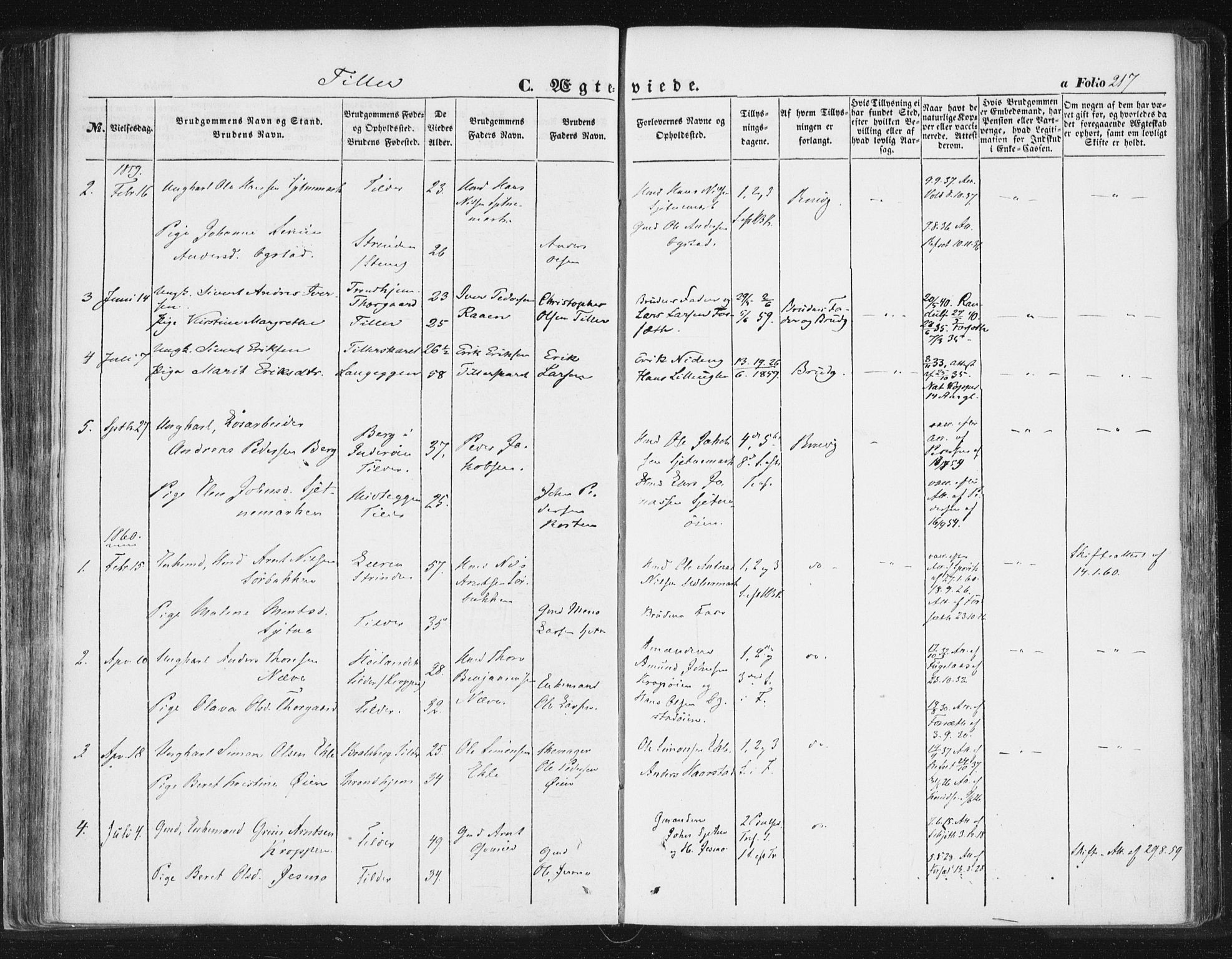 Ministerialprotokoller, klokkerbøker og fødselsregistre - Sør-Trøndelag, SAT/A-1456/618/L0441: Parish register (official) no. 618A05, 1843-1862, p. 217