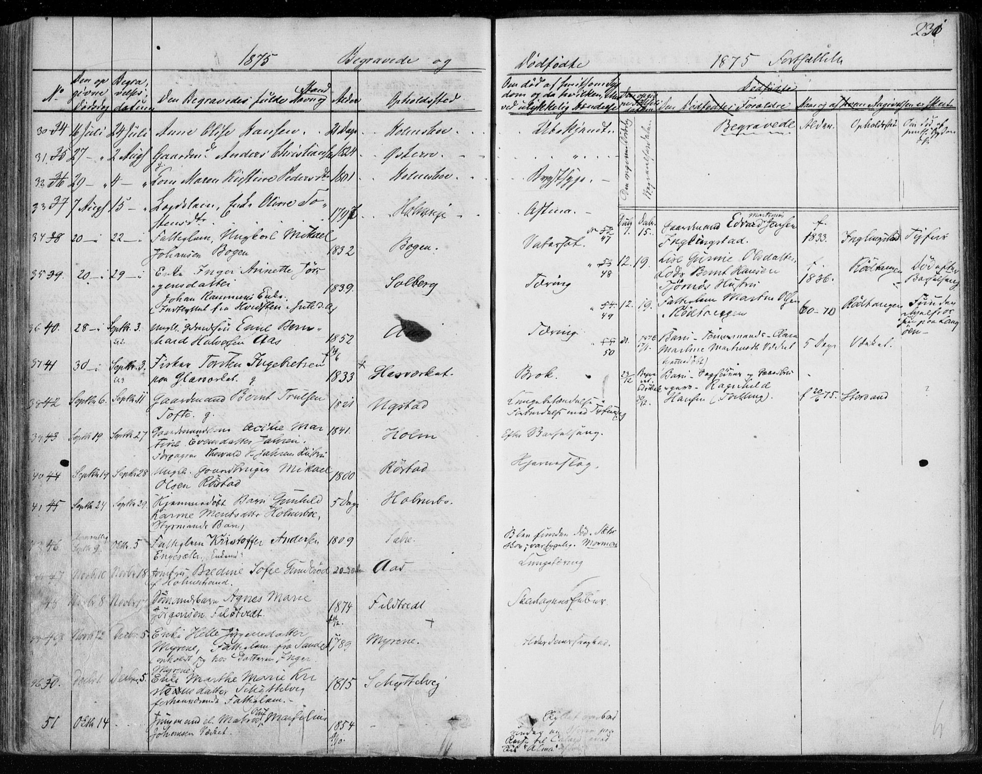 Hurum kirkebøker, AV/SAKO-A-229/F/Fa/L0012: Parish register (official) no. 12, 1861-1875, p. 231