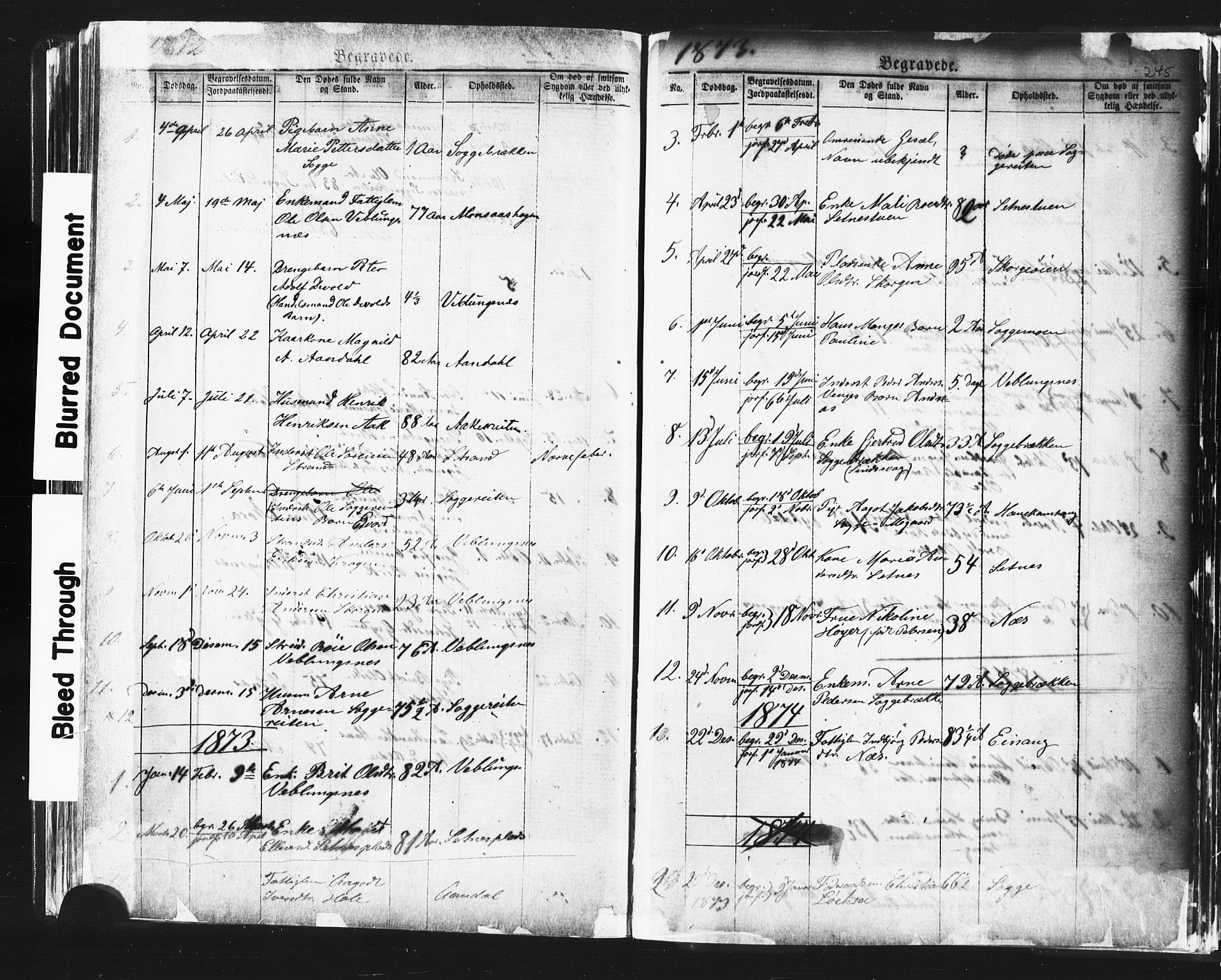 Ministerialprotokoller, klokkerbøker og fødselsregistre - Møre og Romsdal, SAT/A-1454/544/L0580: Parish register (copy) no. 544C02, 1867-1909, p. 245