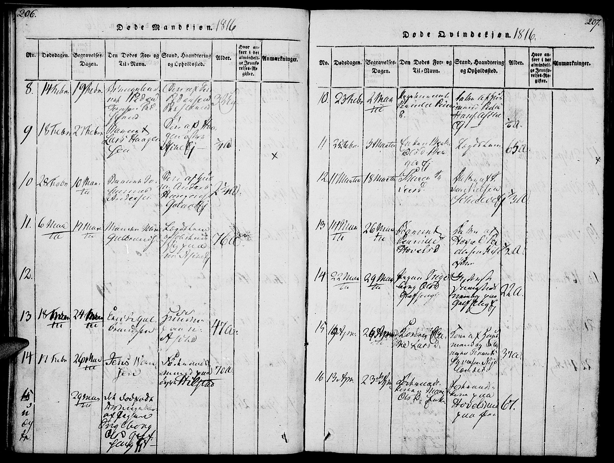 Nes prestekontor, Hedmark, AV/SAH-PREST-020/K/Ka/L0002: Parish register (official) no. 2, 1813-1827, p. 206-207