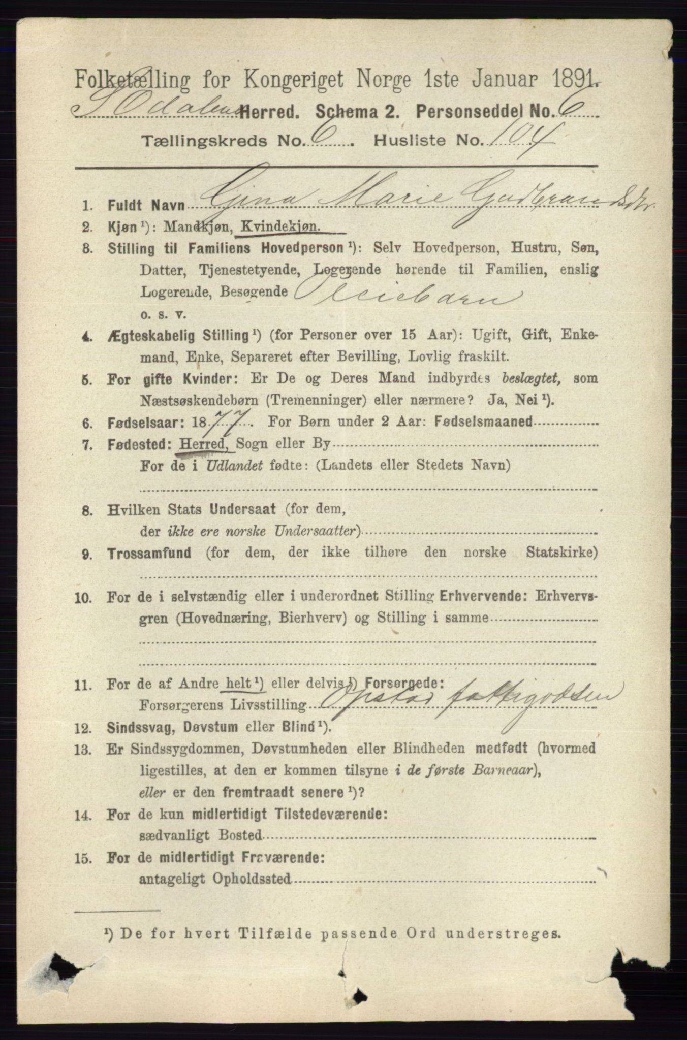 RA, 1891 census for 0419 Sør-Odal, 1891, p. 3489