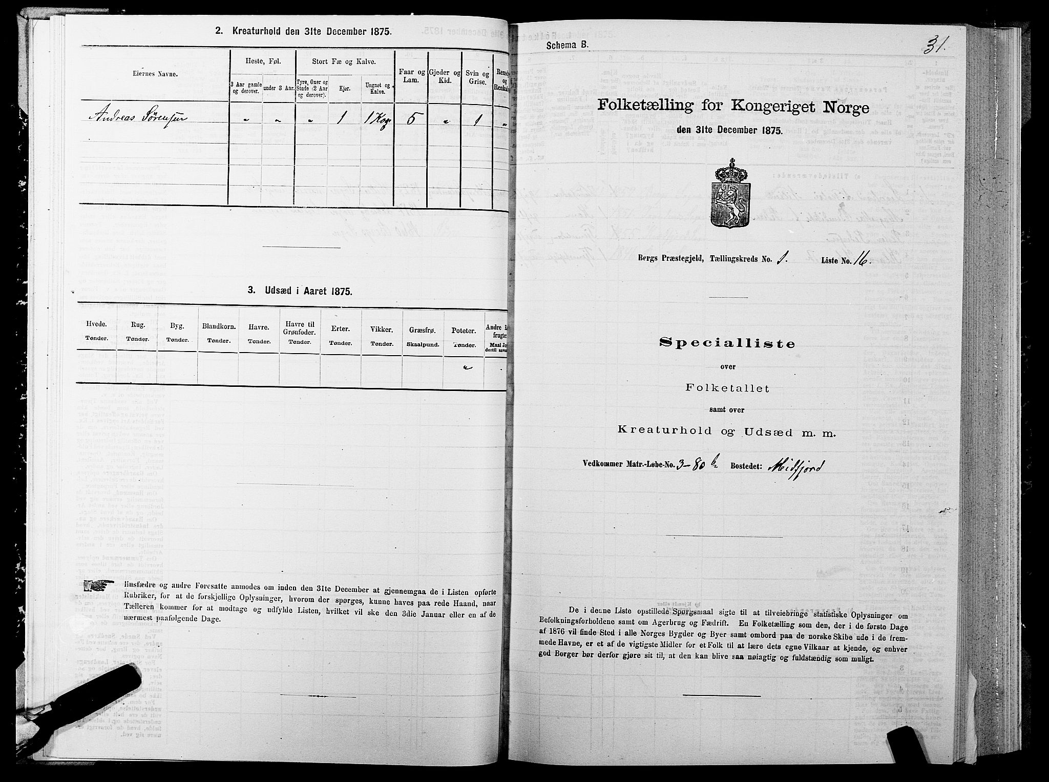 SATØ, 1875 census for 1929P Berg, 1875, p. 1031