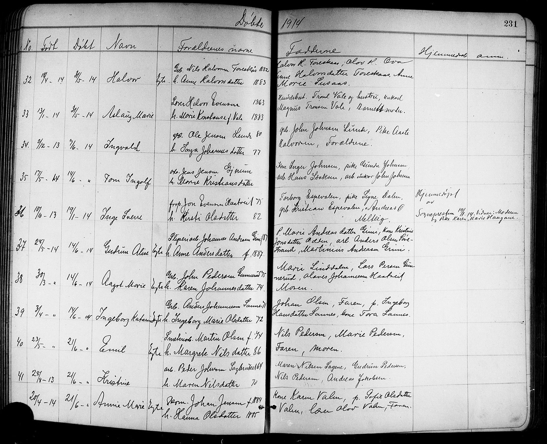 Holla kirkebøker, AV/SAKO-A-272/G/Ga/L0005: Parish register (copy) no. I 5, 1891-1917, p. 231