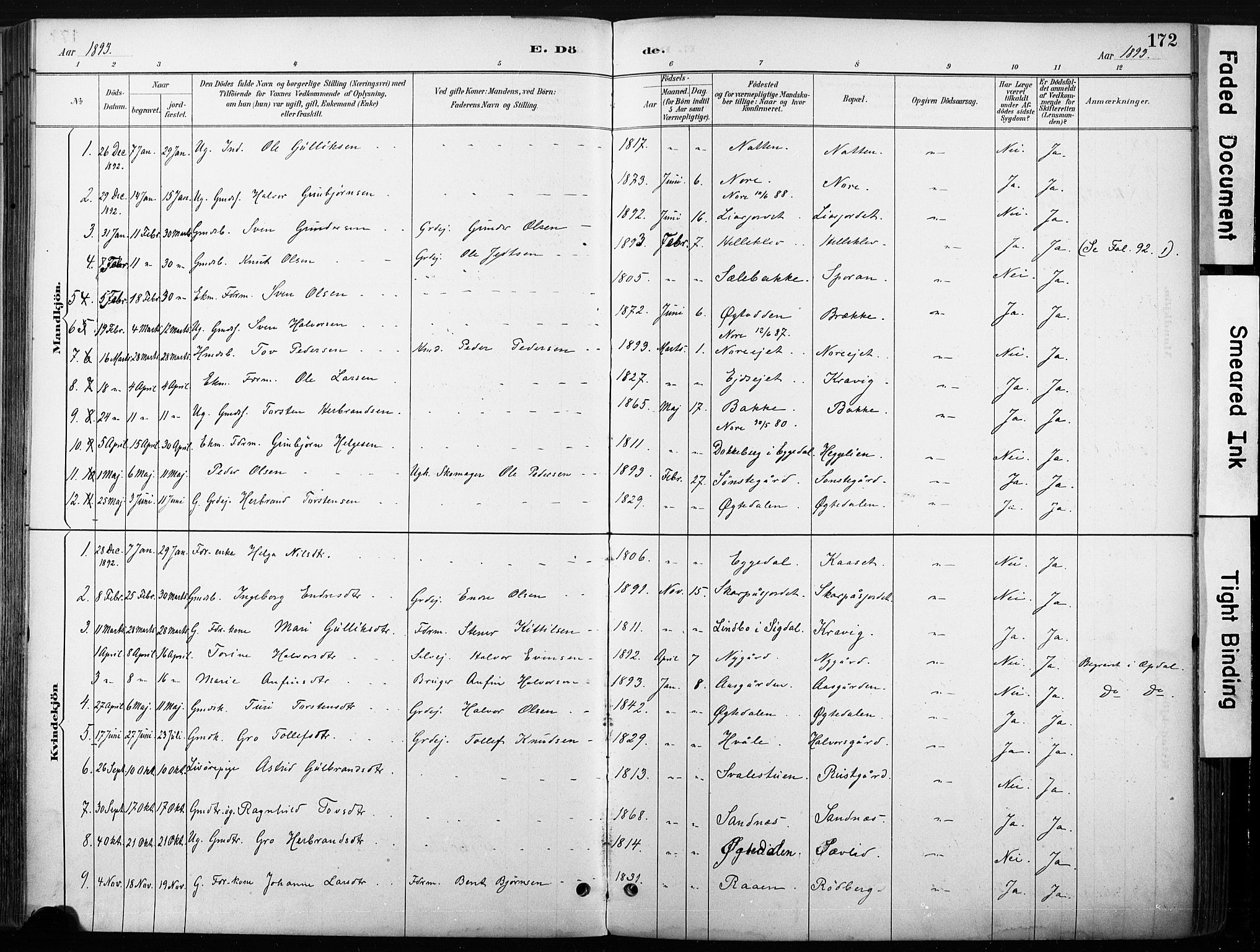 Nore kirkebøker, AV/SAKO-A-238/F/Fb/L0002: Parish register (official) no. II 2, 1886-1906, p. 172